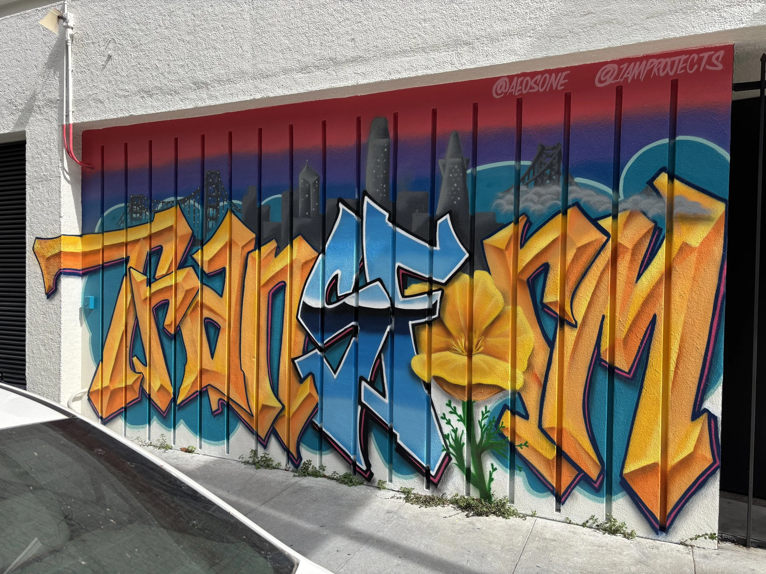 "Transform"

My contribution to the Levi Strauss "These City Walls" project in collaboration with 1AM Projects. Painted on the side of the Renaissance Entrepreneur Center in San Francisco, CA