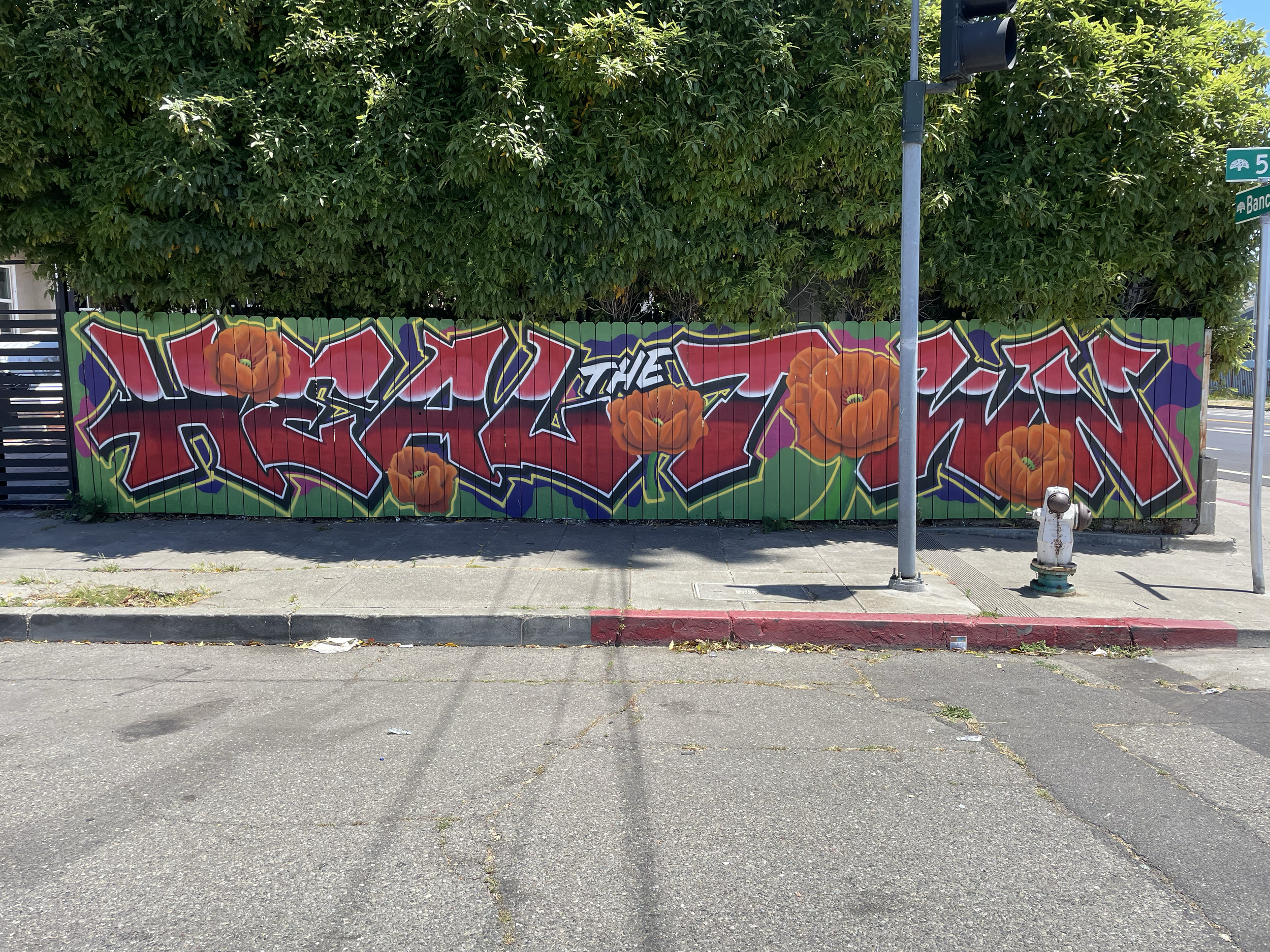 "Heal the Town" - East Oakland, CA