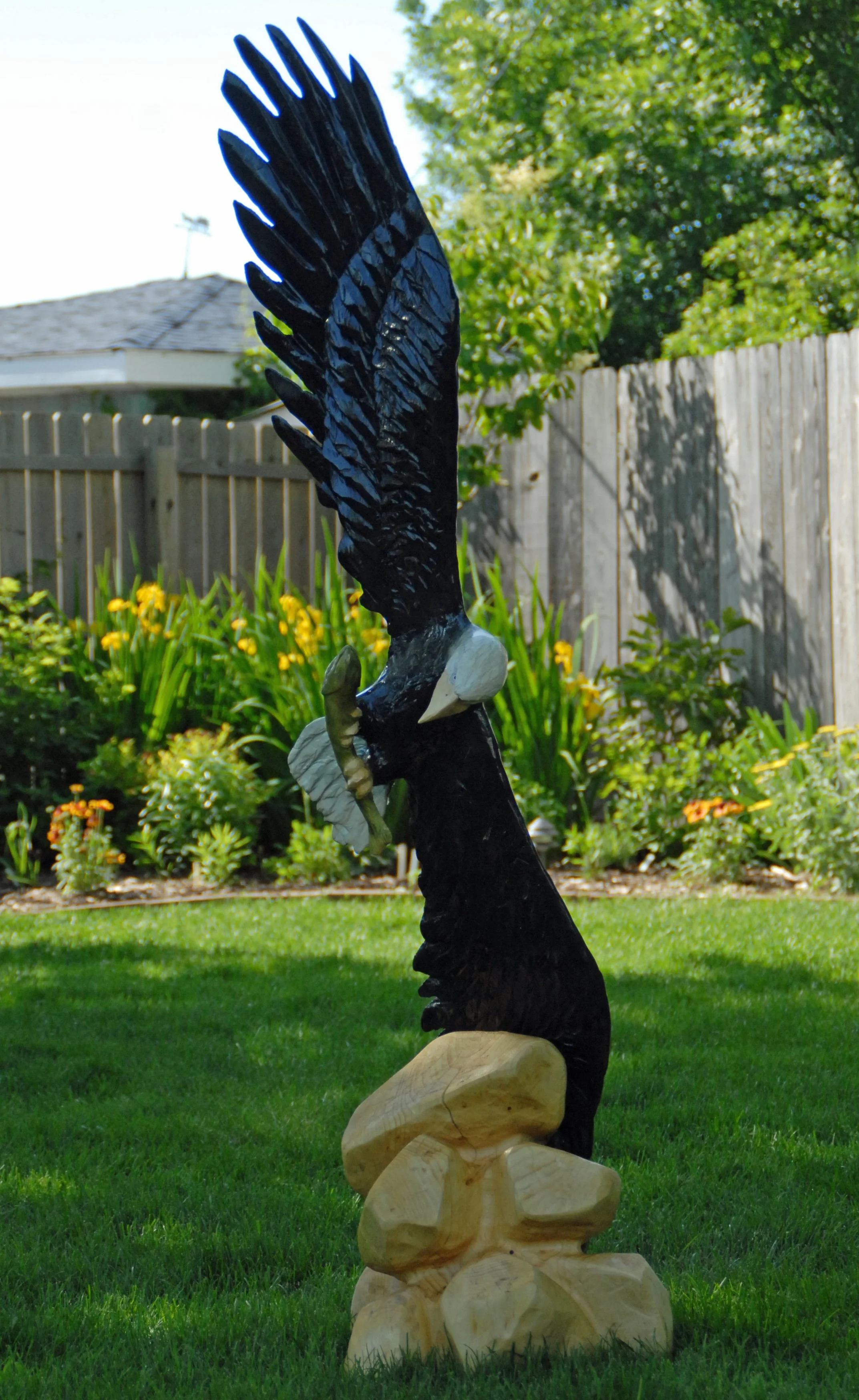 final soaring eagle (1).JPG