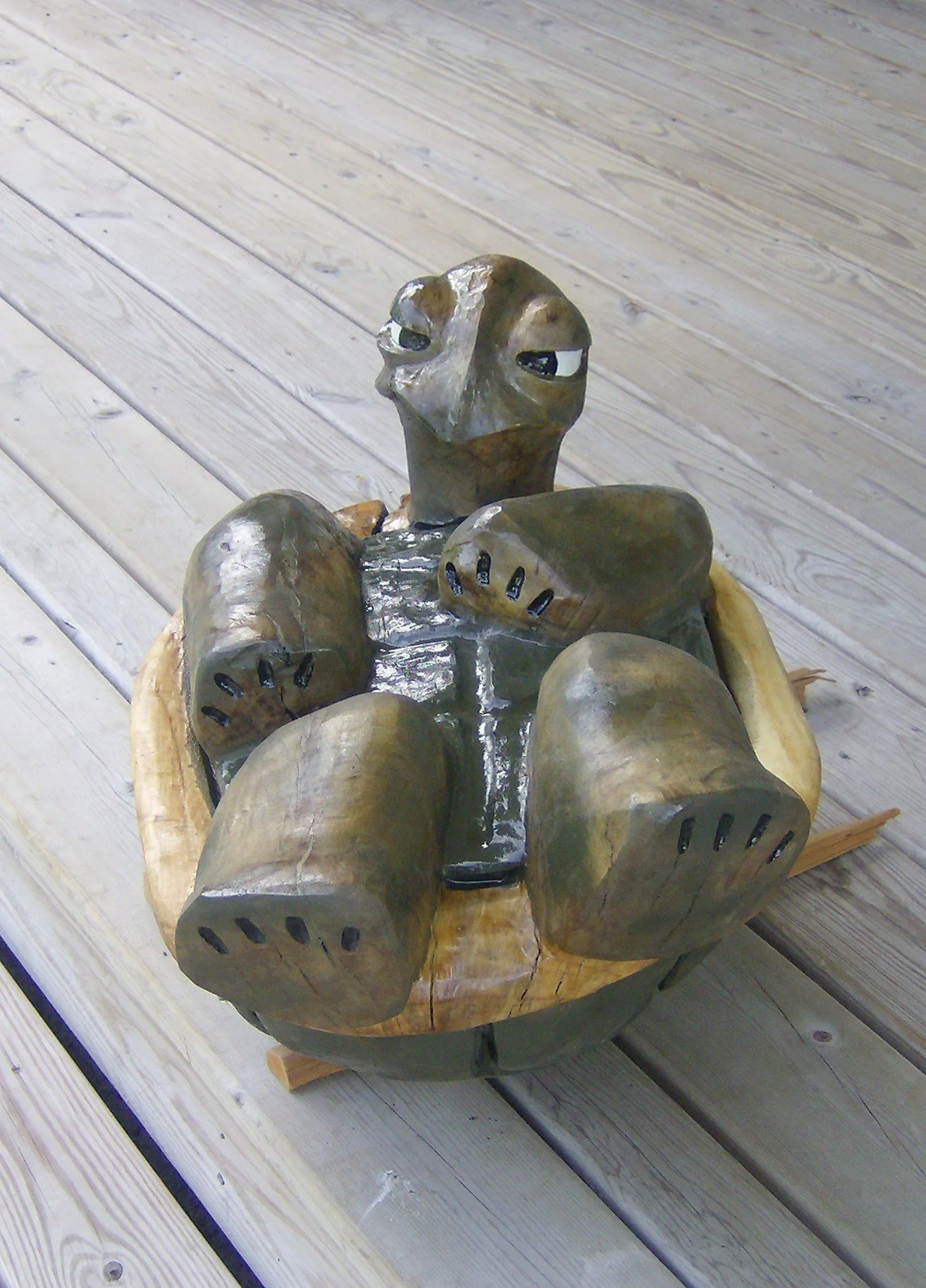 turtle on back (2).JPG