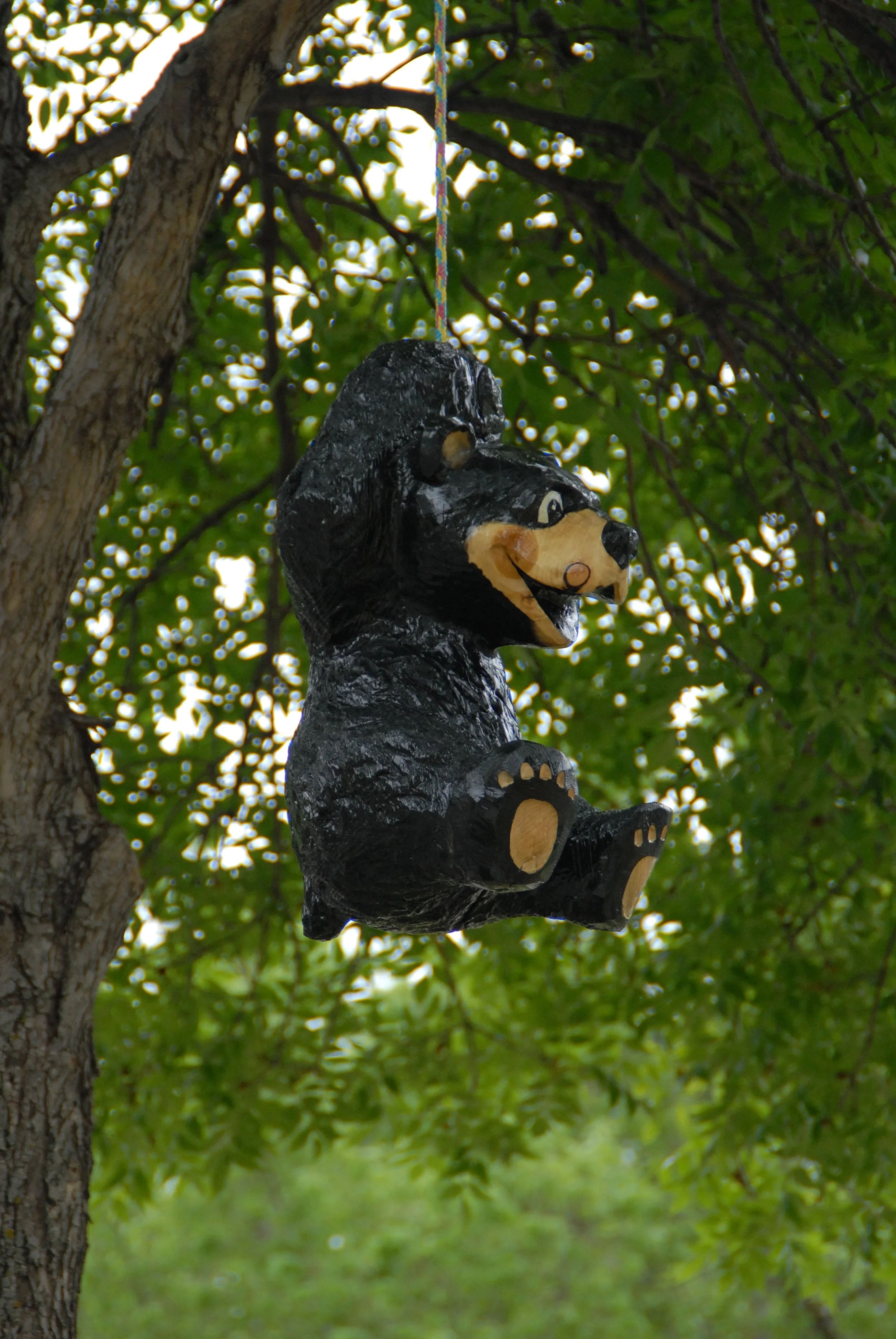 tarzan bear.JPG