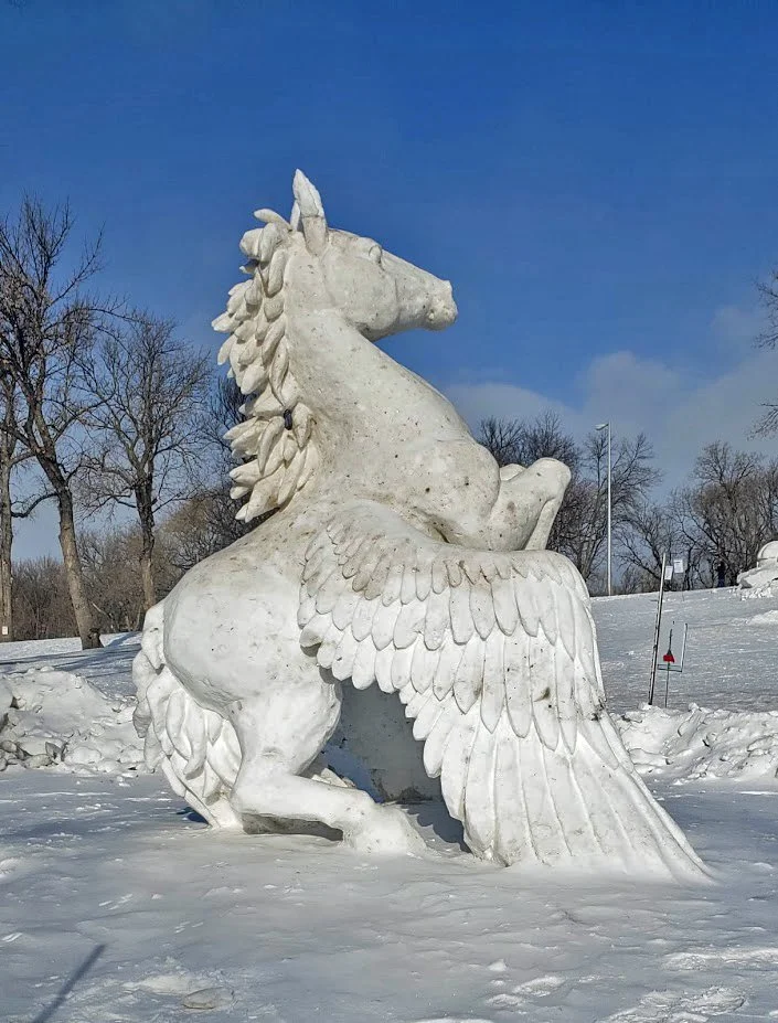 Snow sculpture of a pegasus with a horse body, large wings, and a lion mane on a snow-covered landscape under a blue sky.