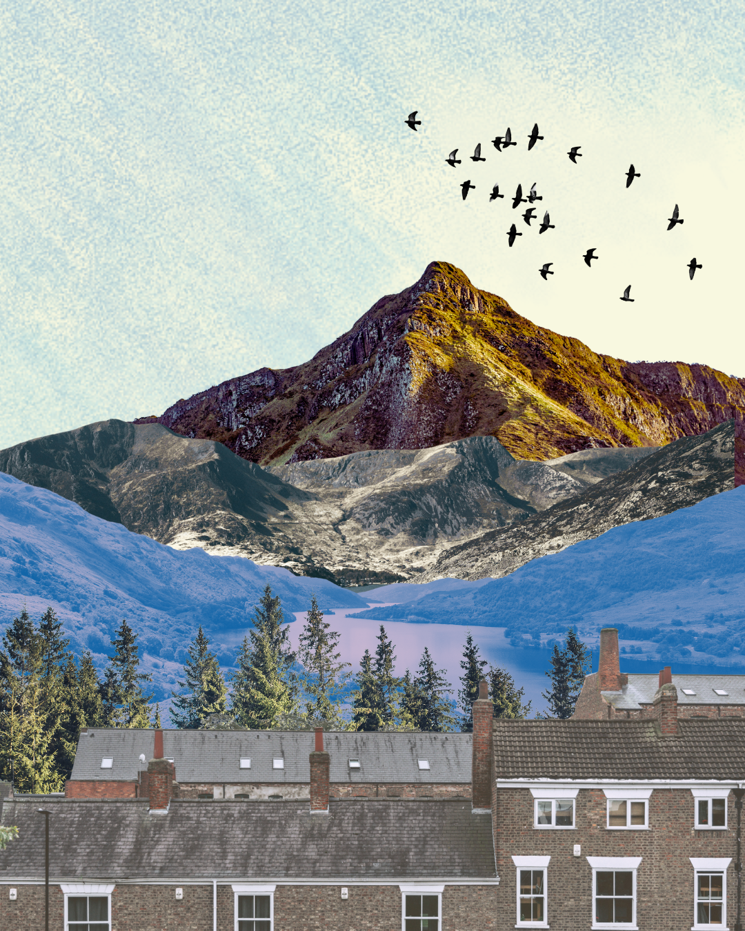 Transforming Conflict As Community Practitioners — This Living Place
