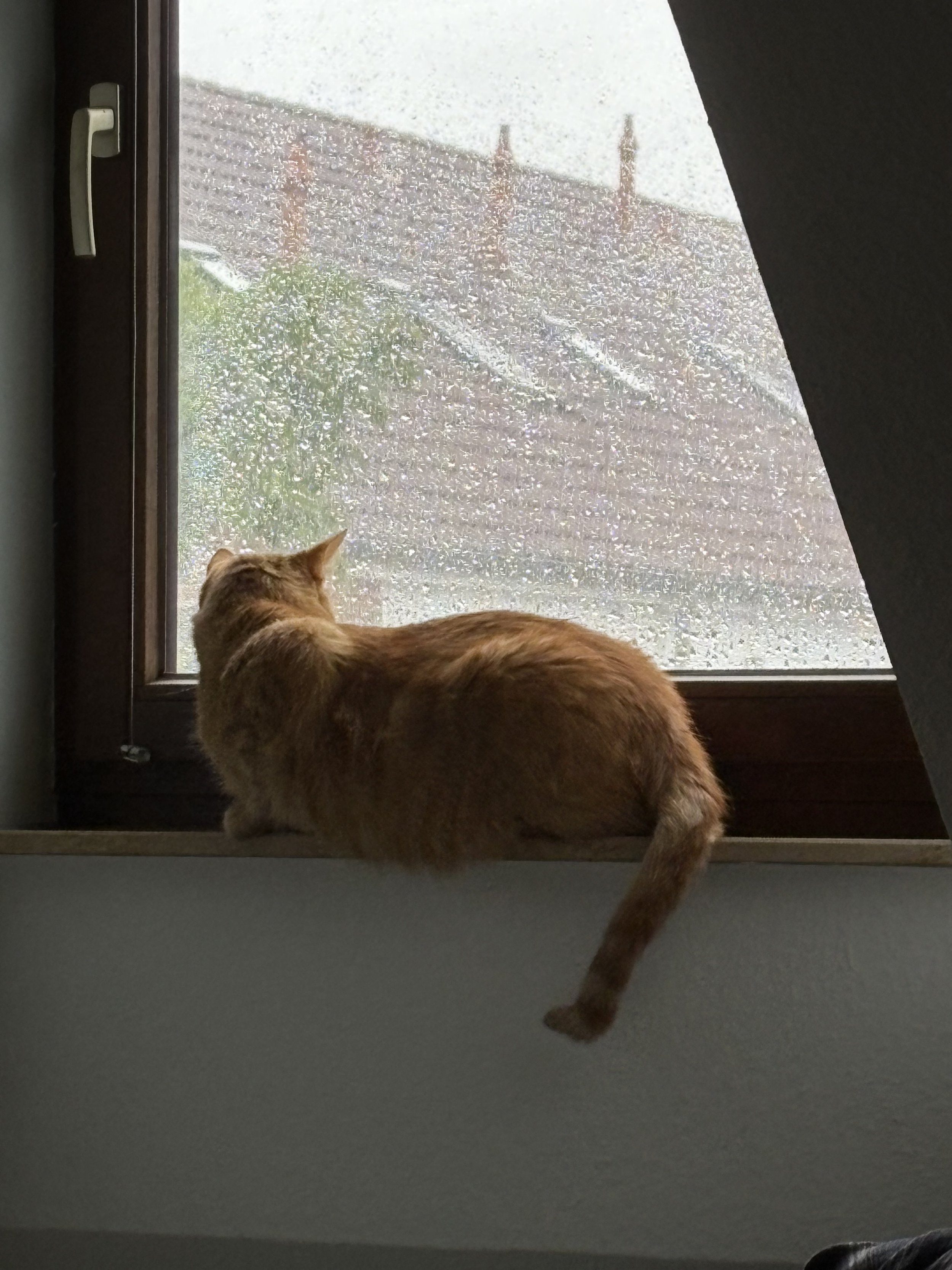 Der Blick aus dem Fenster