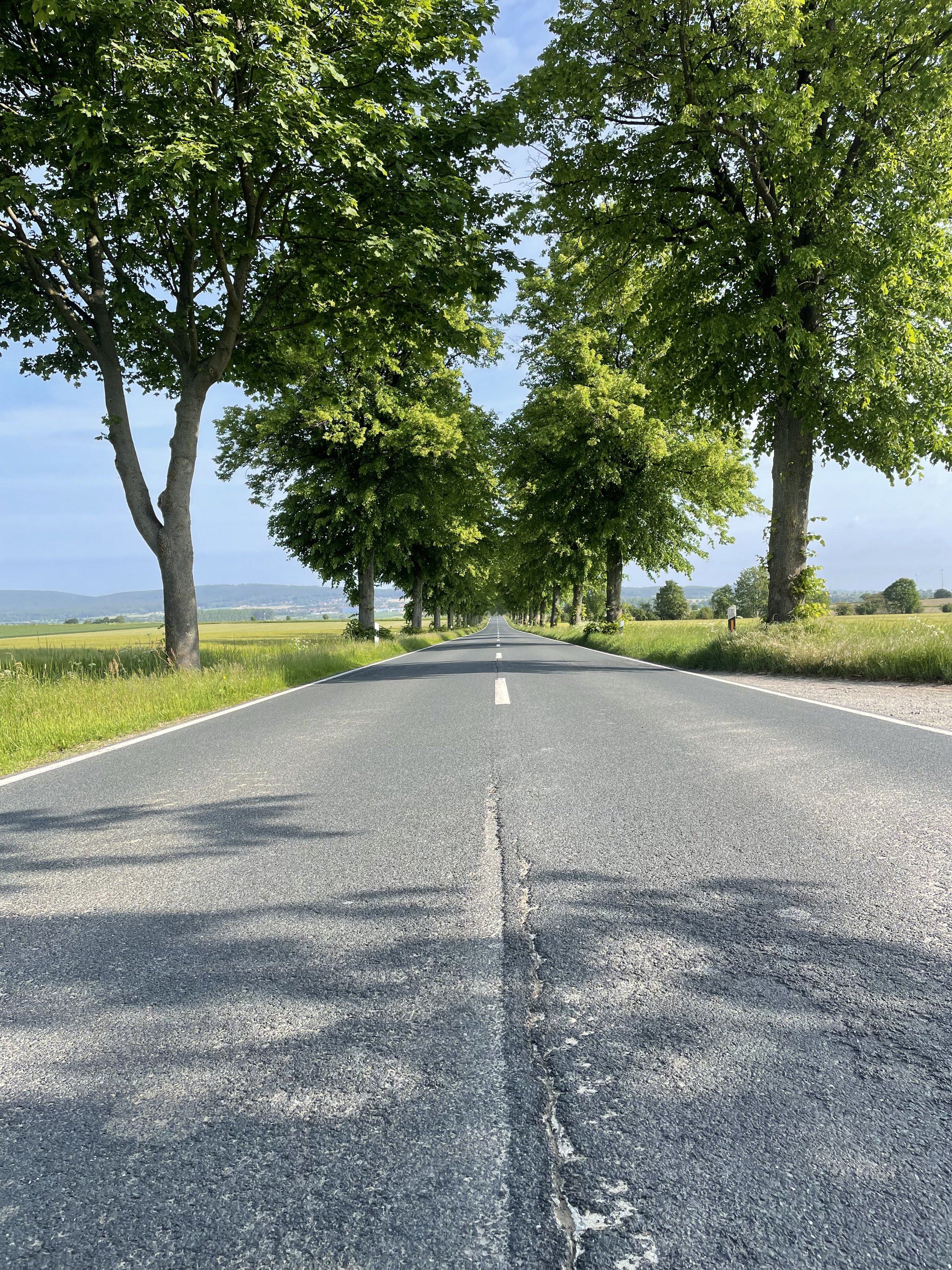Eine Vorfreude macht sich breit