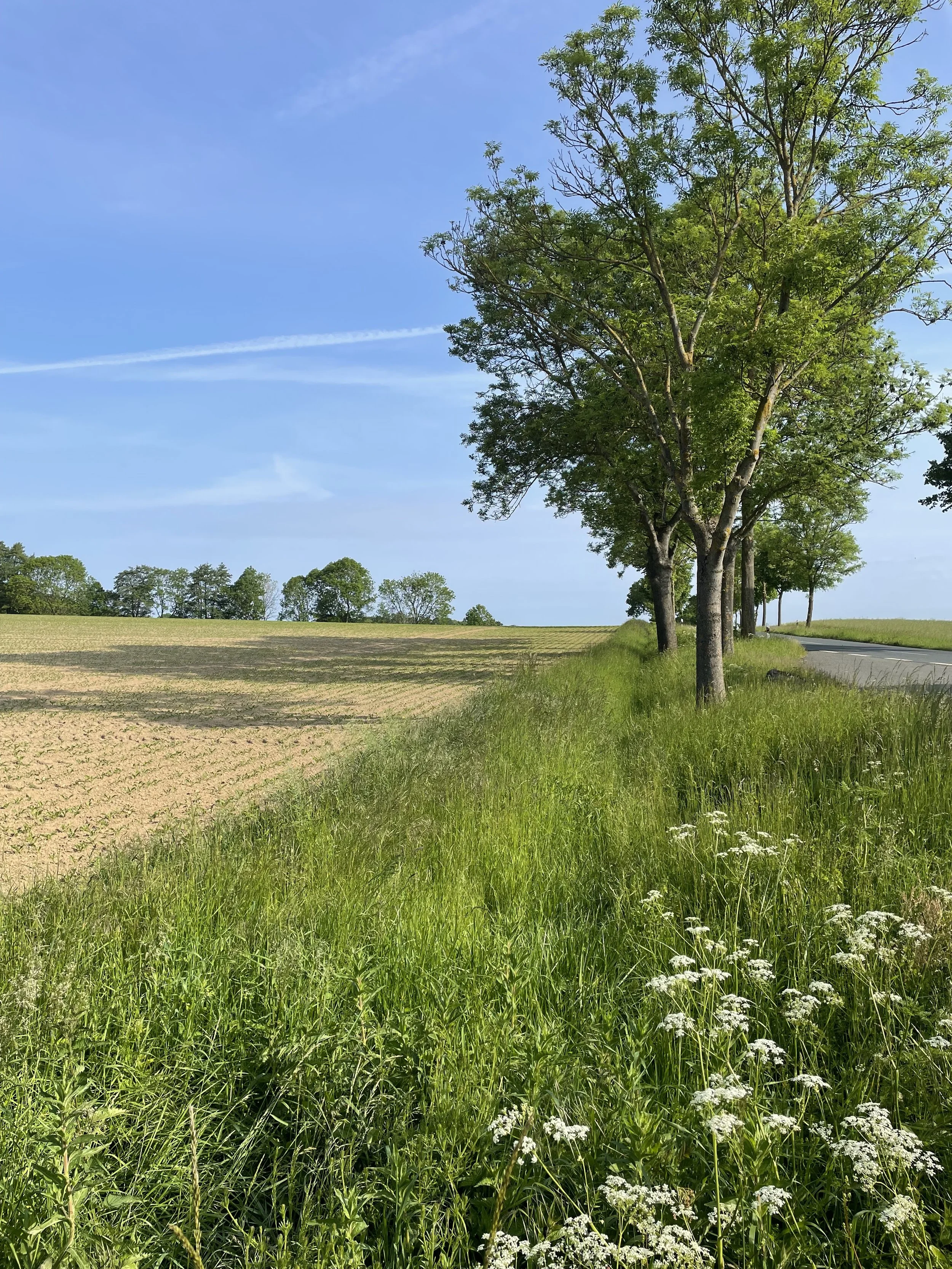 Ausruhen ist angesagt