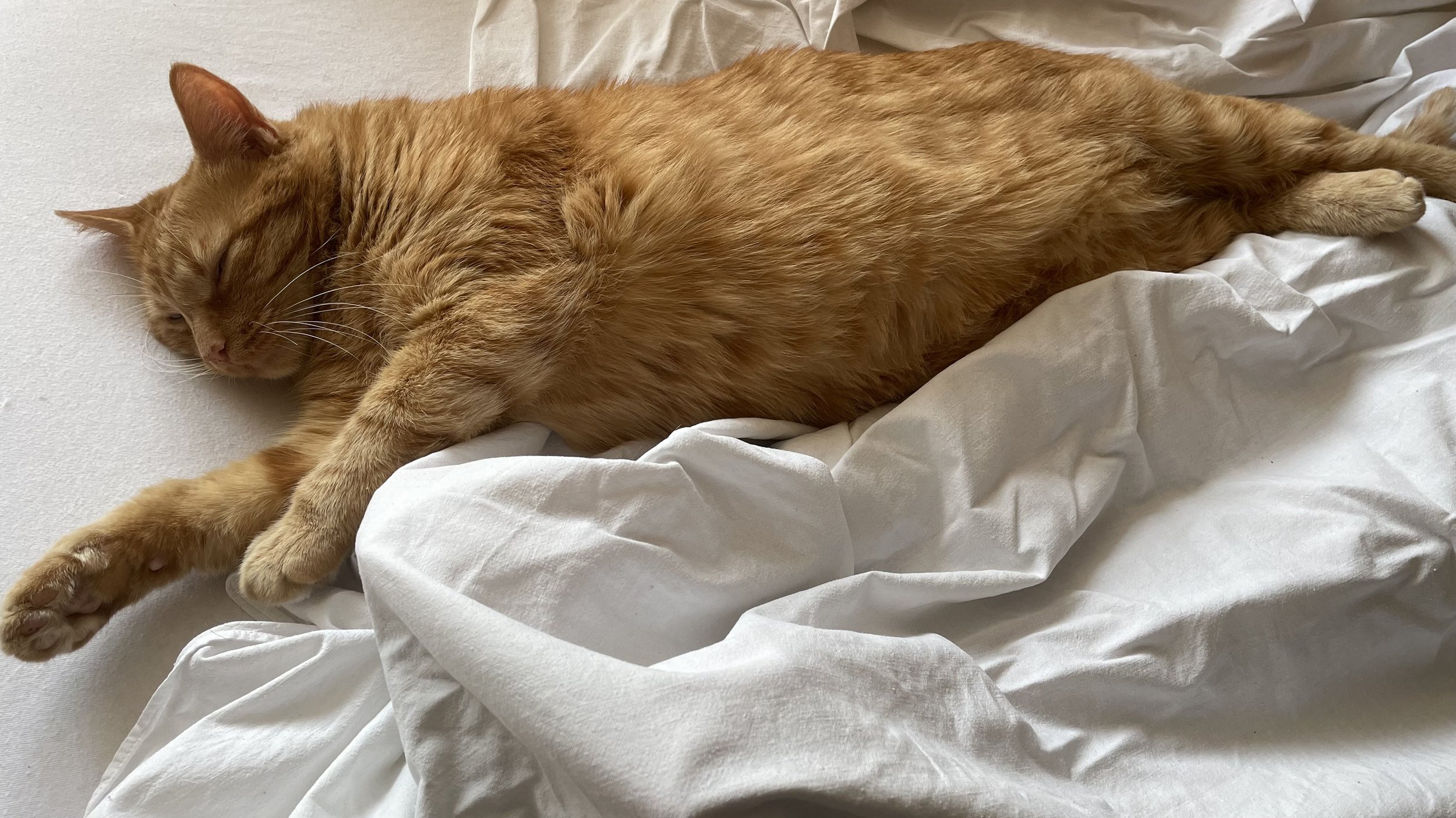 Für alles gibt es Zeit