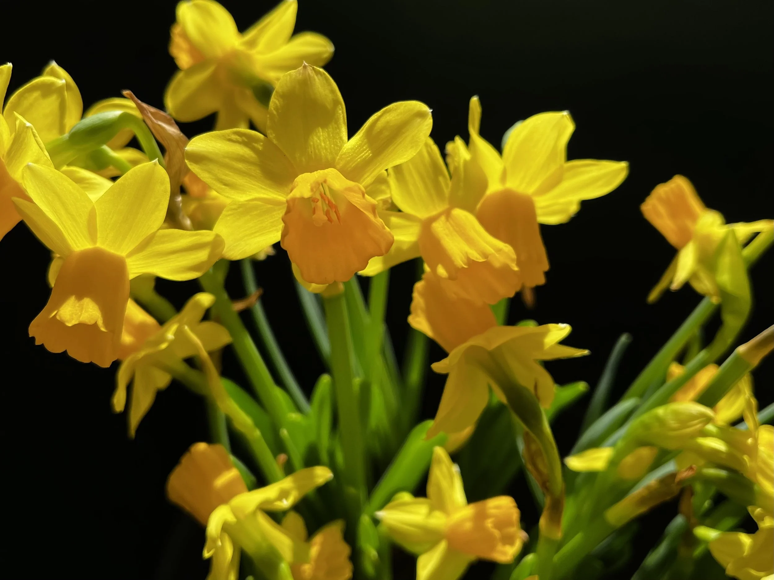 Ein Hauch von Fernweh