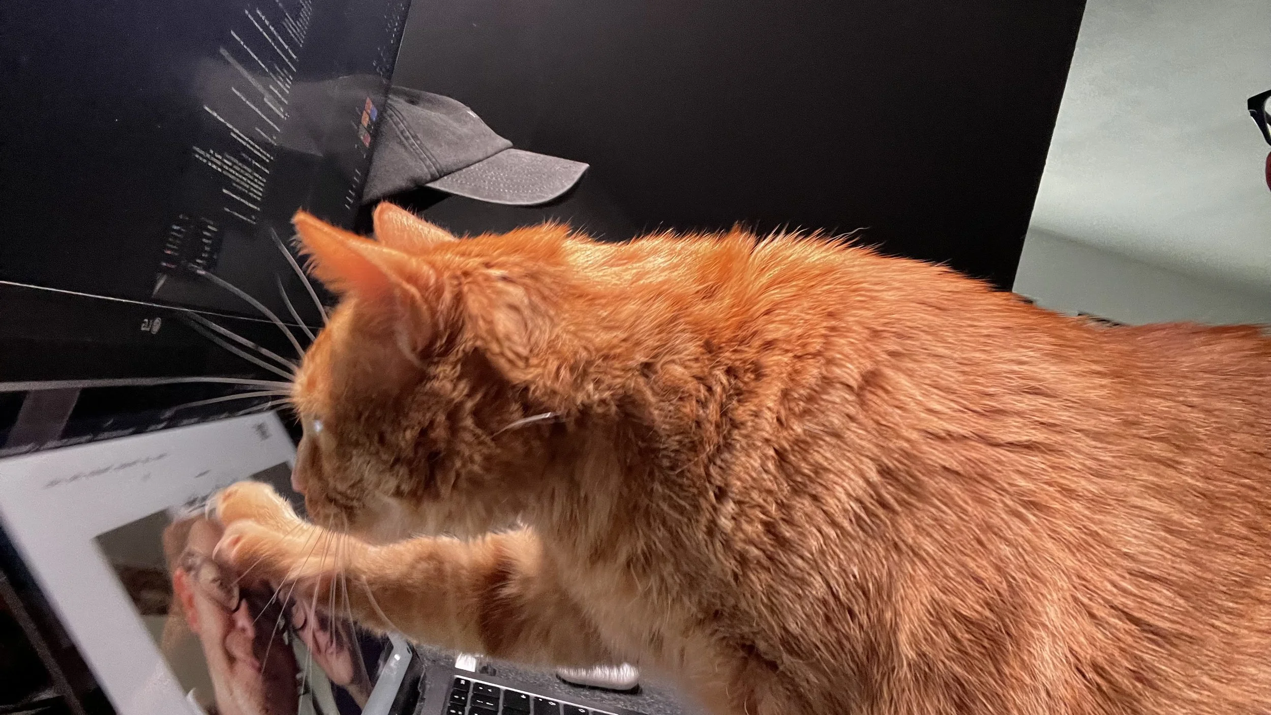 Nichtmal als Foto ist man sicher