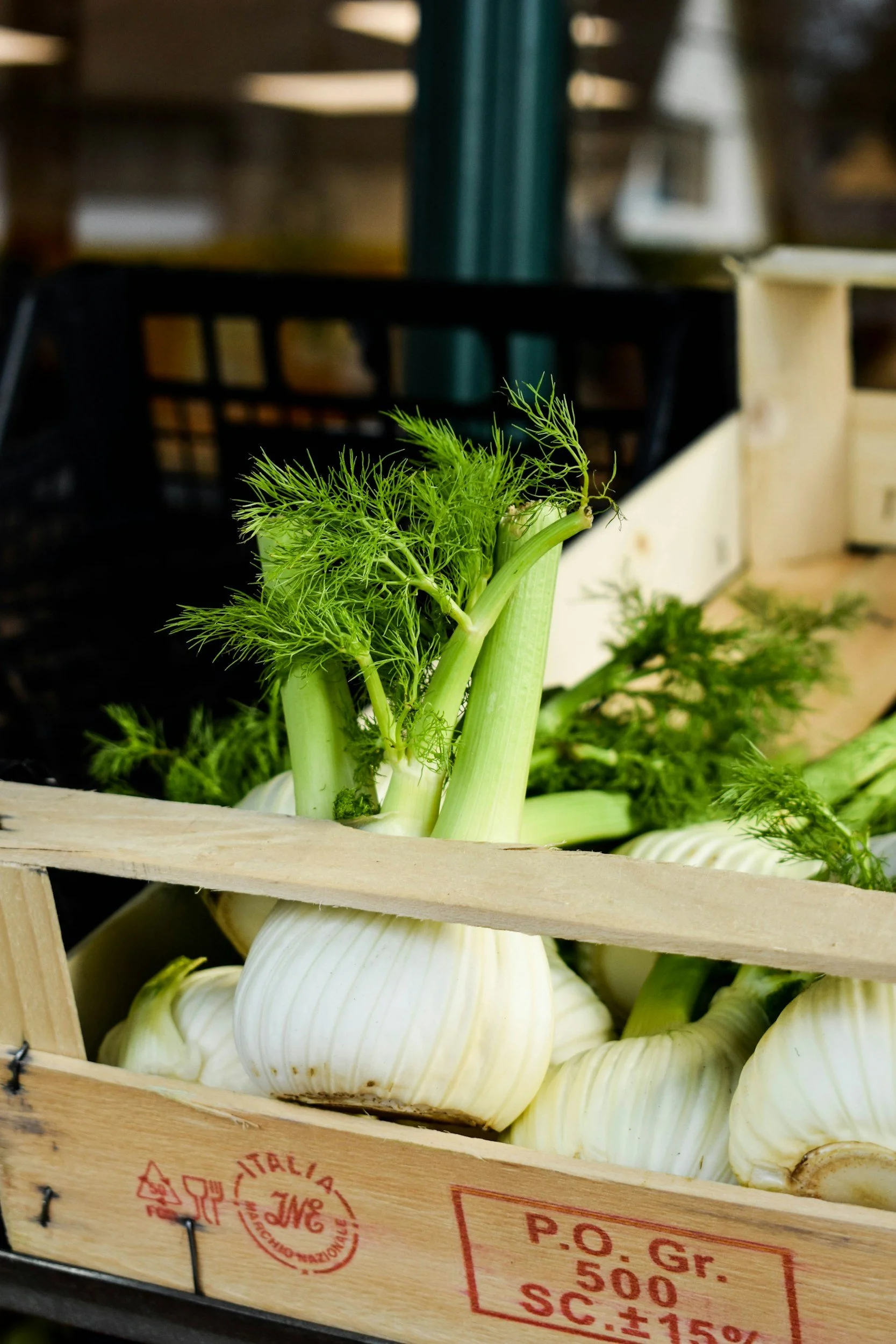 Ein Fenchel-Orangensalat