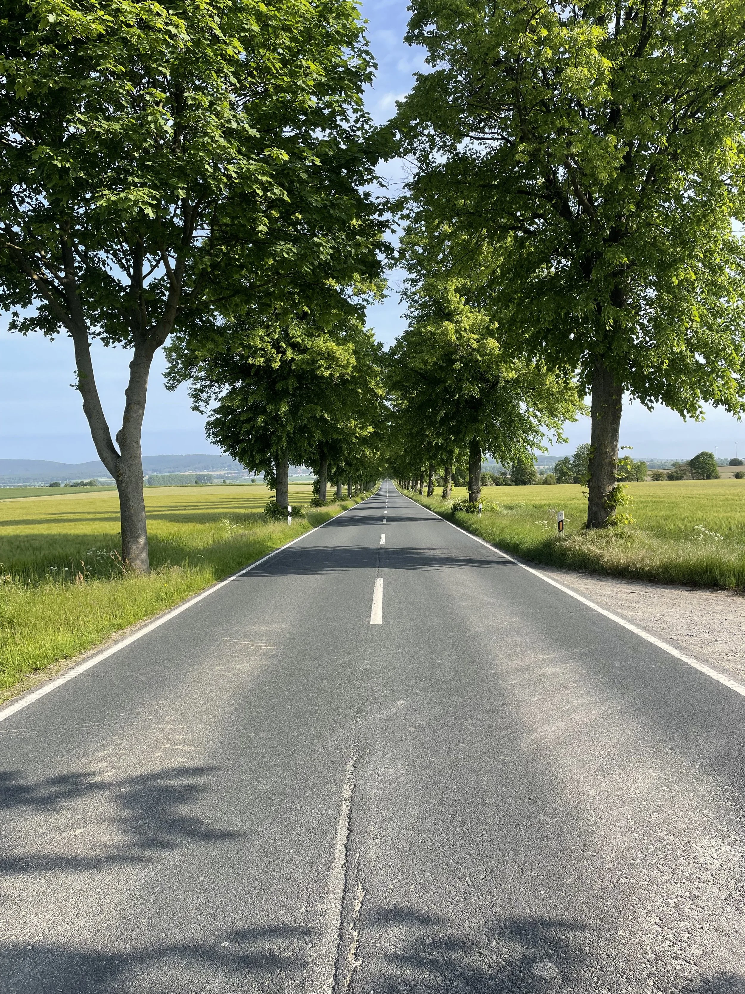 Die Sonne ist wieder da