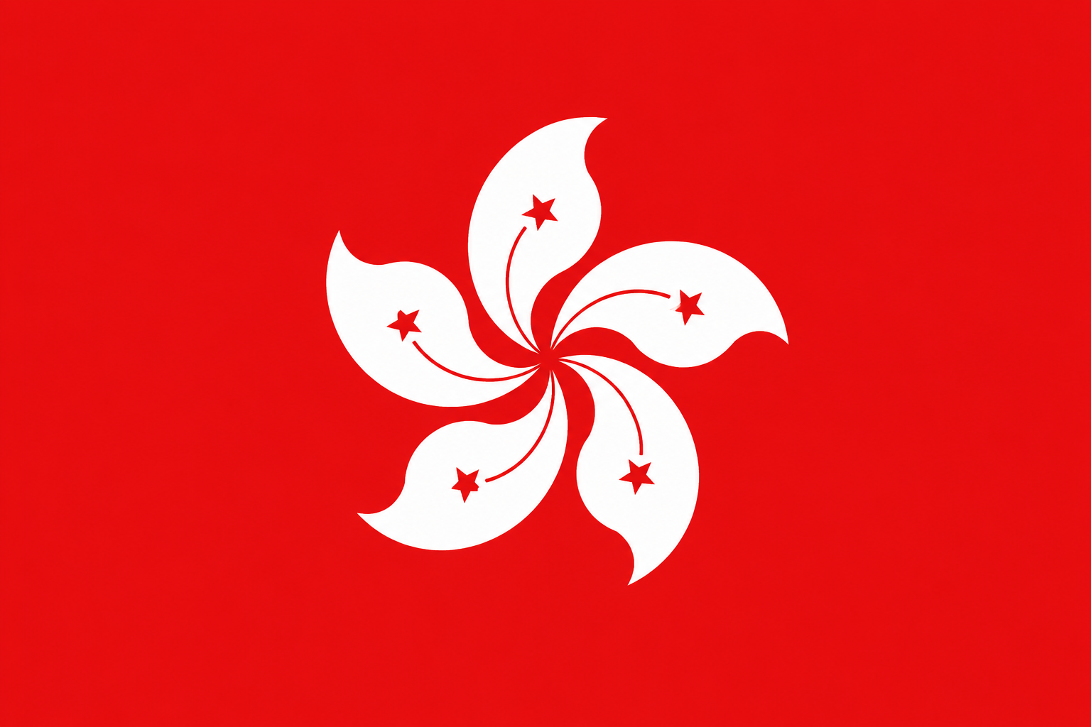 Hong Kong Car License Plate Cover