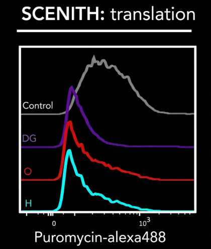 The Metabolic Regulation of Immune Cell Development