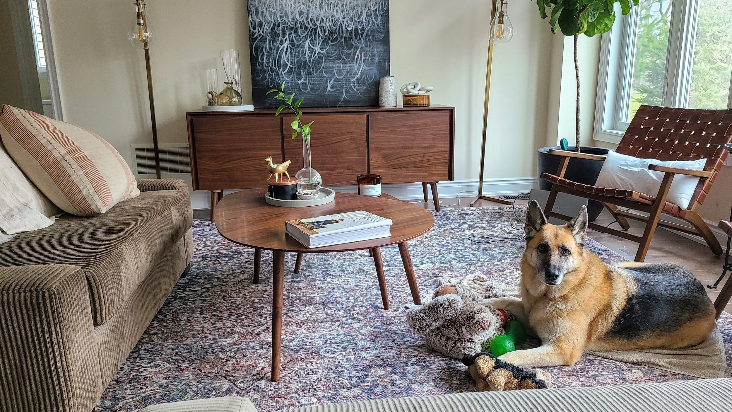 One Hour Behavior Consultation (in person)