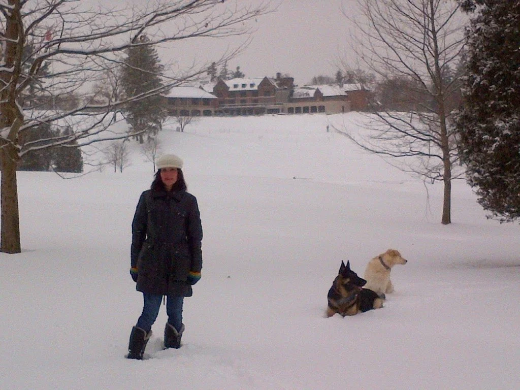 Complimentary Behavior and Training Consultations for Rescue Dogs