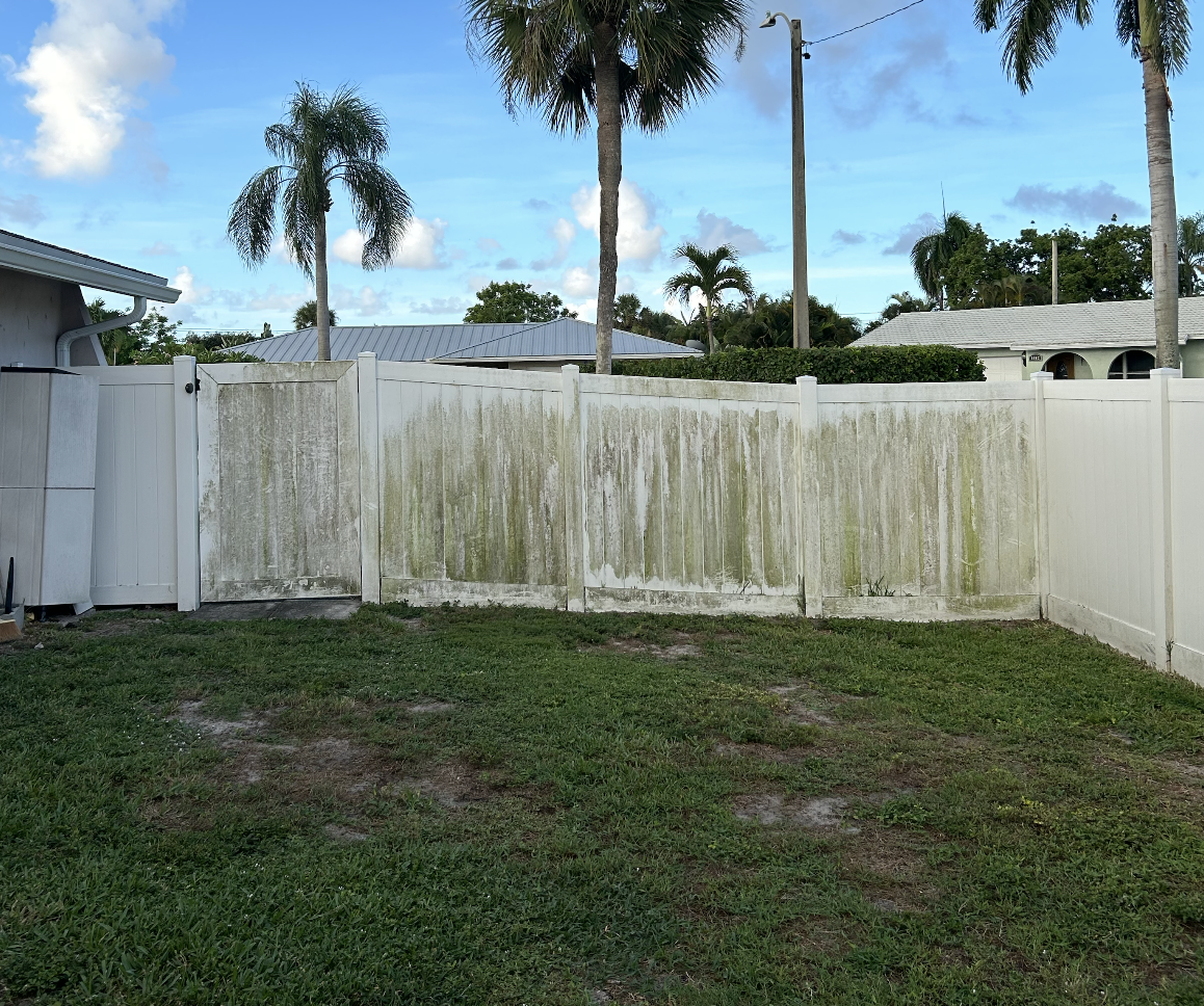 Backyard with a white fenced yard, some trees, green grass, and a blue sky with clouds.