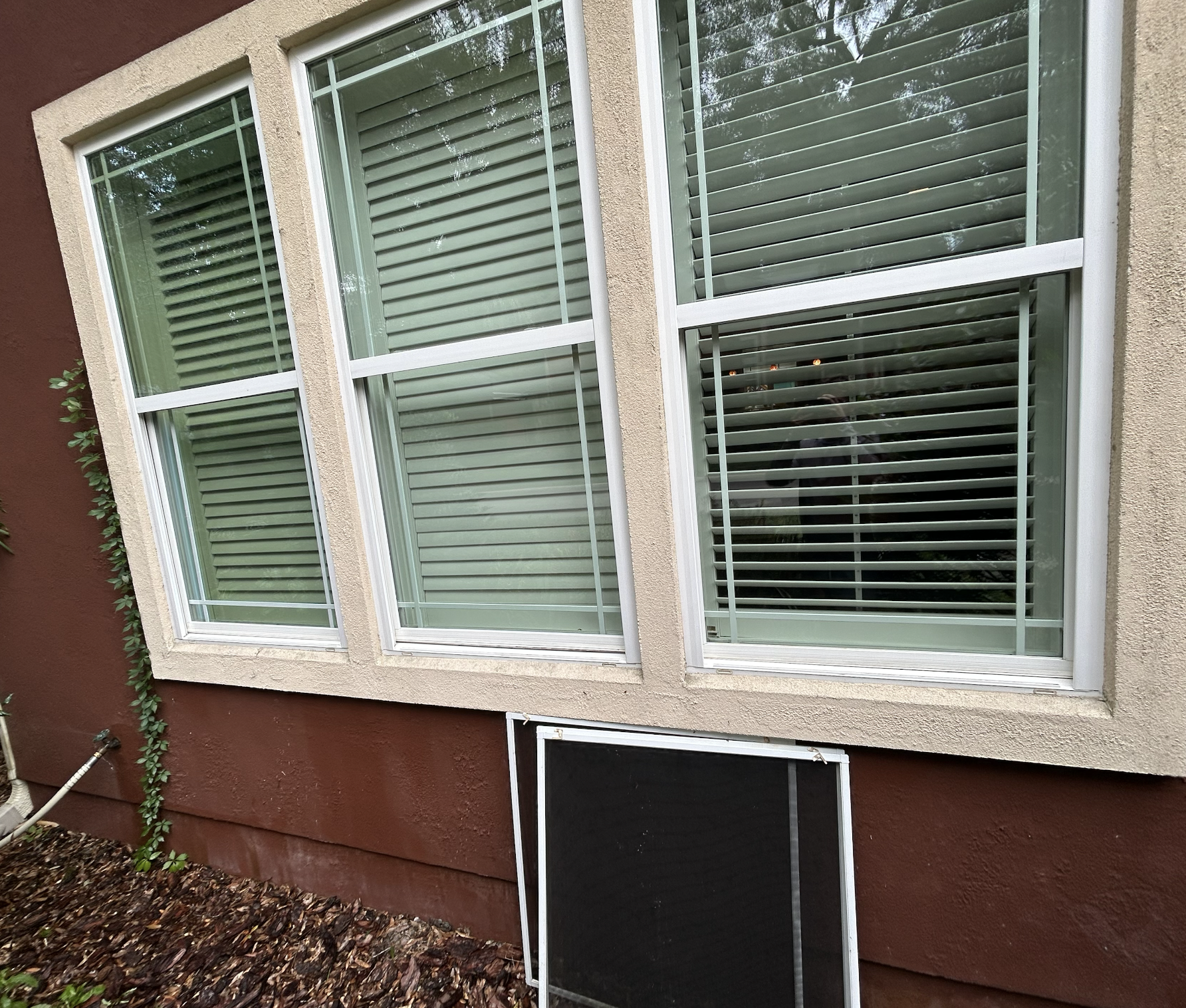 Exterior of a house with two large windows covered with white window blinds. A screened basement window is partially removed and leaning against the house below the windows. The house has brown and beige walls with some greenery beside it.