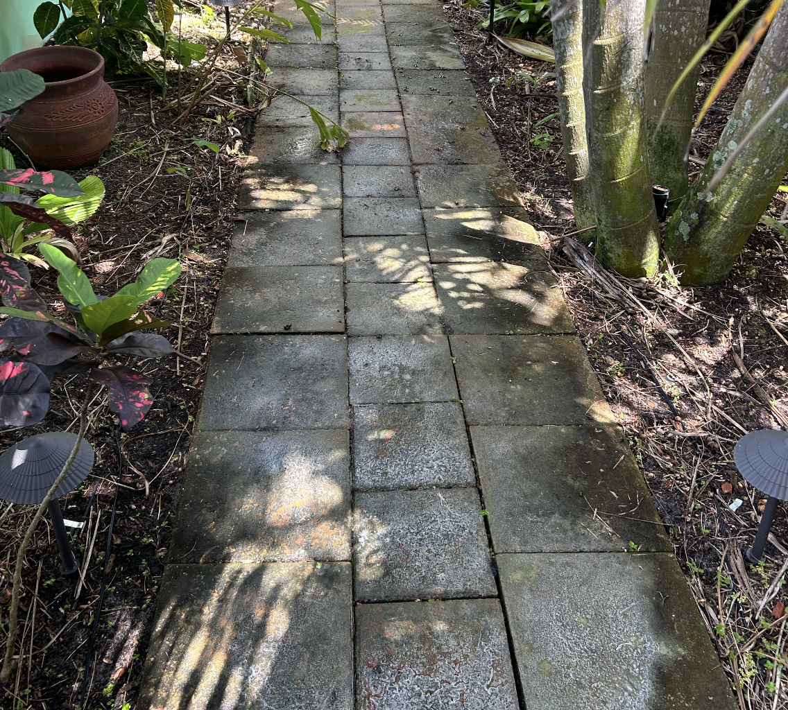 A narrow garden pathway made of weathered concrete pavers with moss and dirt, surrounded by lush green plants, trees, and small decorative garden lights, with dappled sunlight filtering through the foliage.