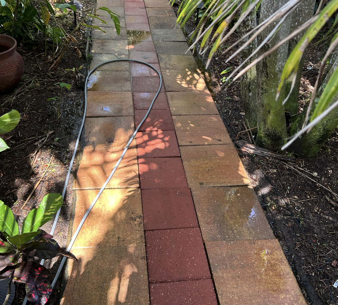 A wet garden pathway made of red and brown paving stones with shadows of leaves, surrounded by plants and trees, with a garden hose lying on the side.