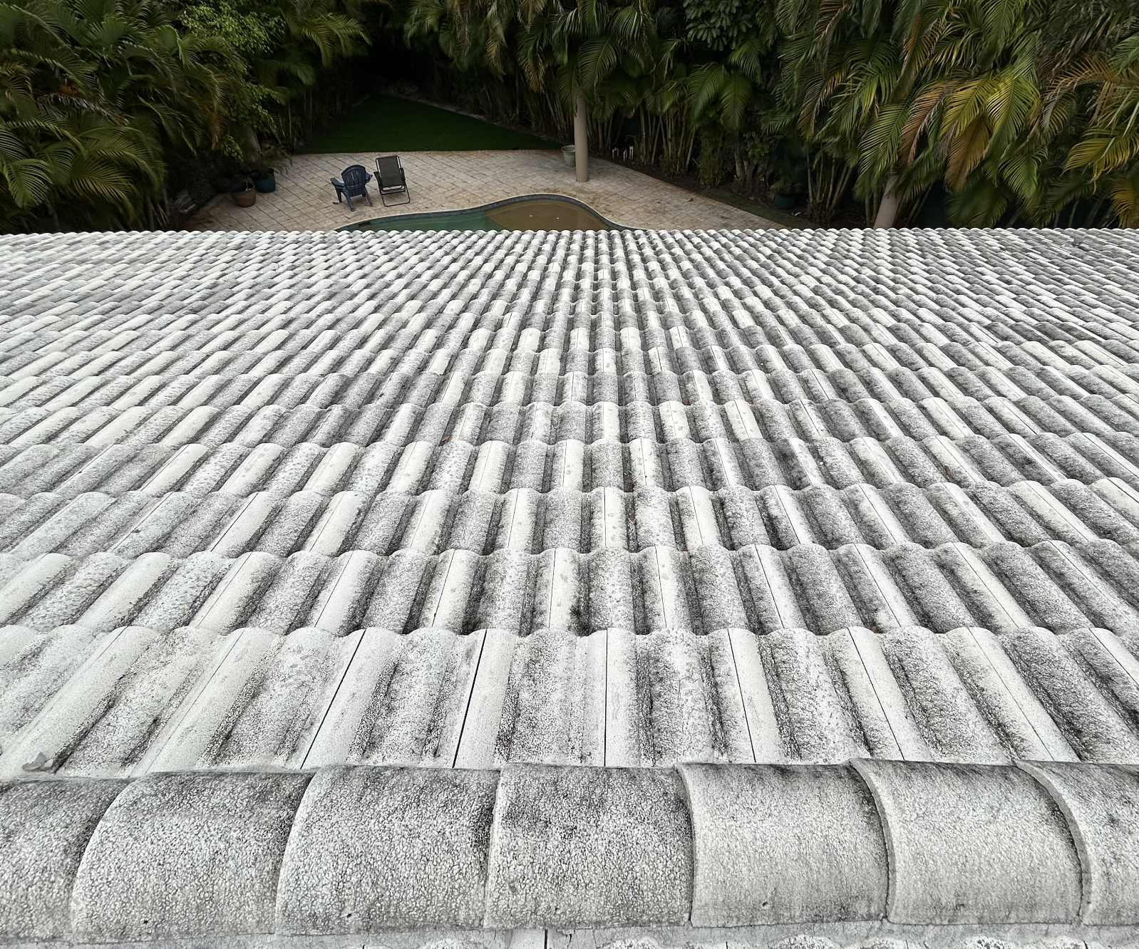 View from a tiled roof looking down at a backyard with a small swimming pool, surrounded by lush green plants and lounge chairs.