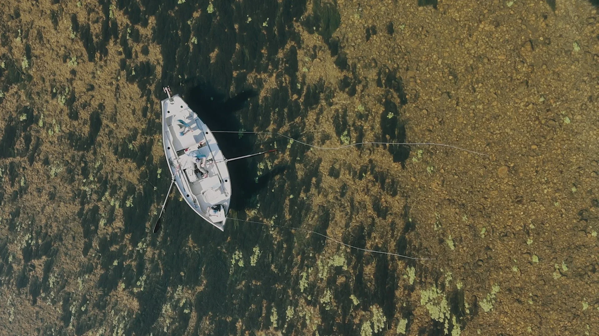 HCB-TITLE CARD - 16X9.jpg