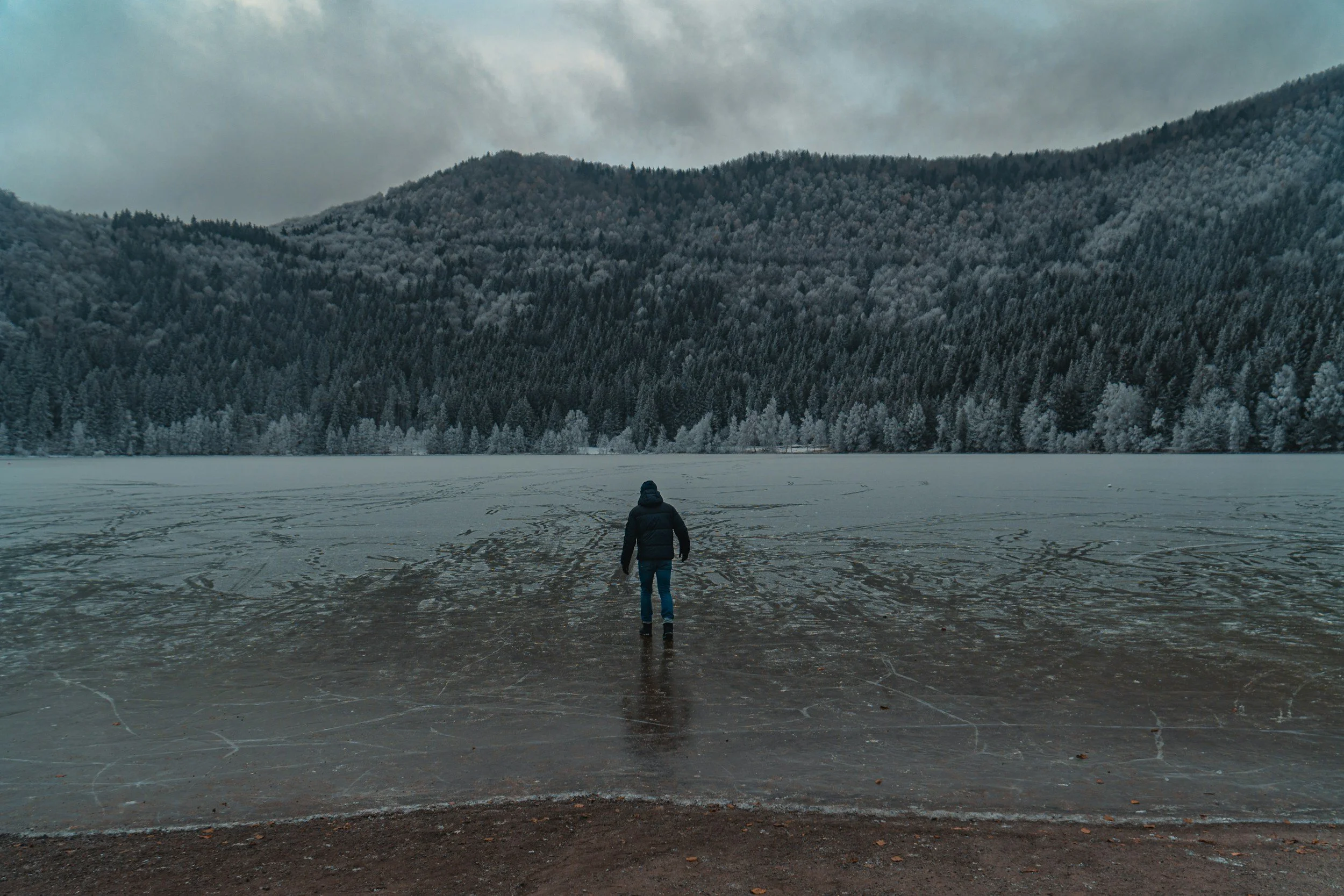 The Freeze Response: When Your Body Goes Numb Instead of Fighting Back
