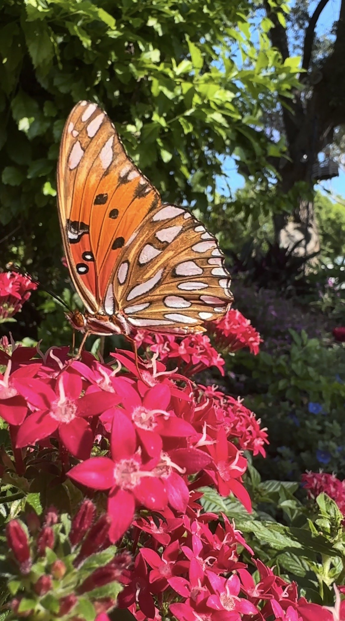 What Nourishes Me Most is My Belief in the Power of Being Nurtured