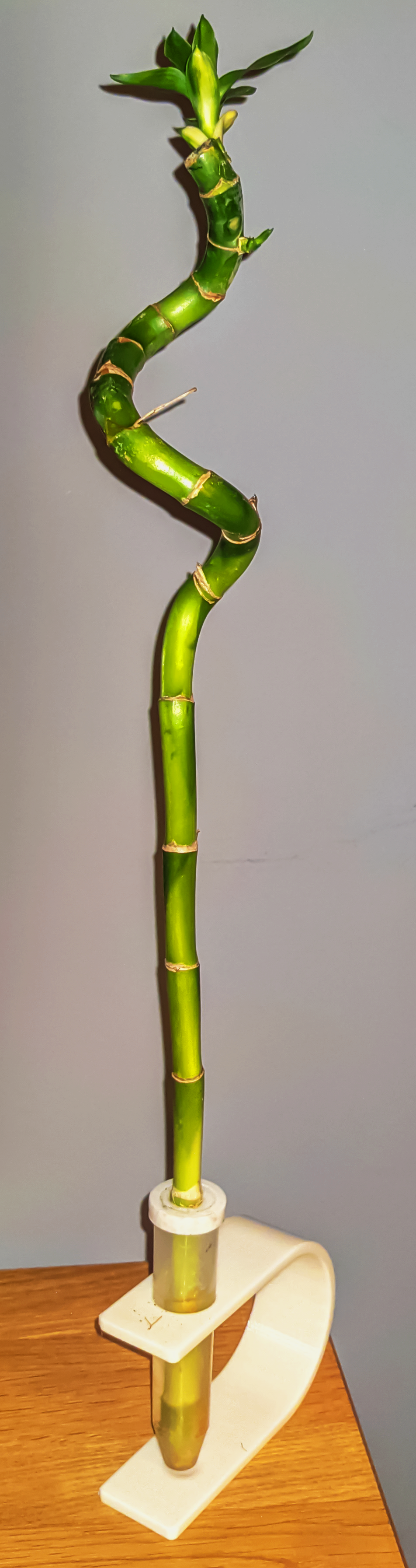 Modern style bambu base