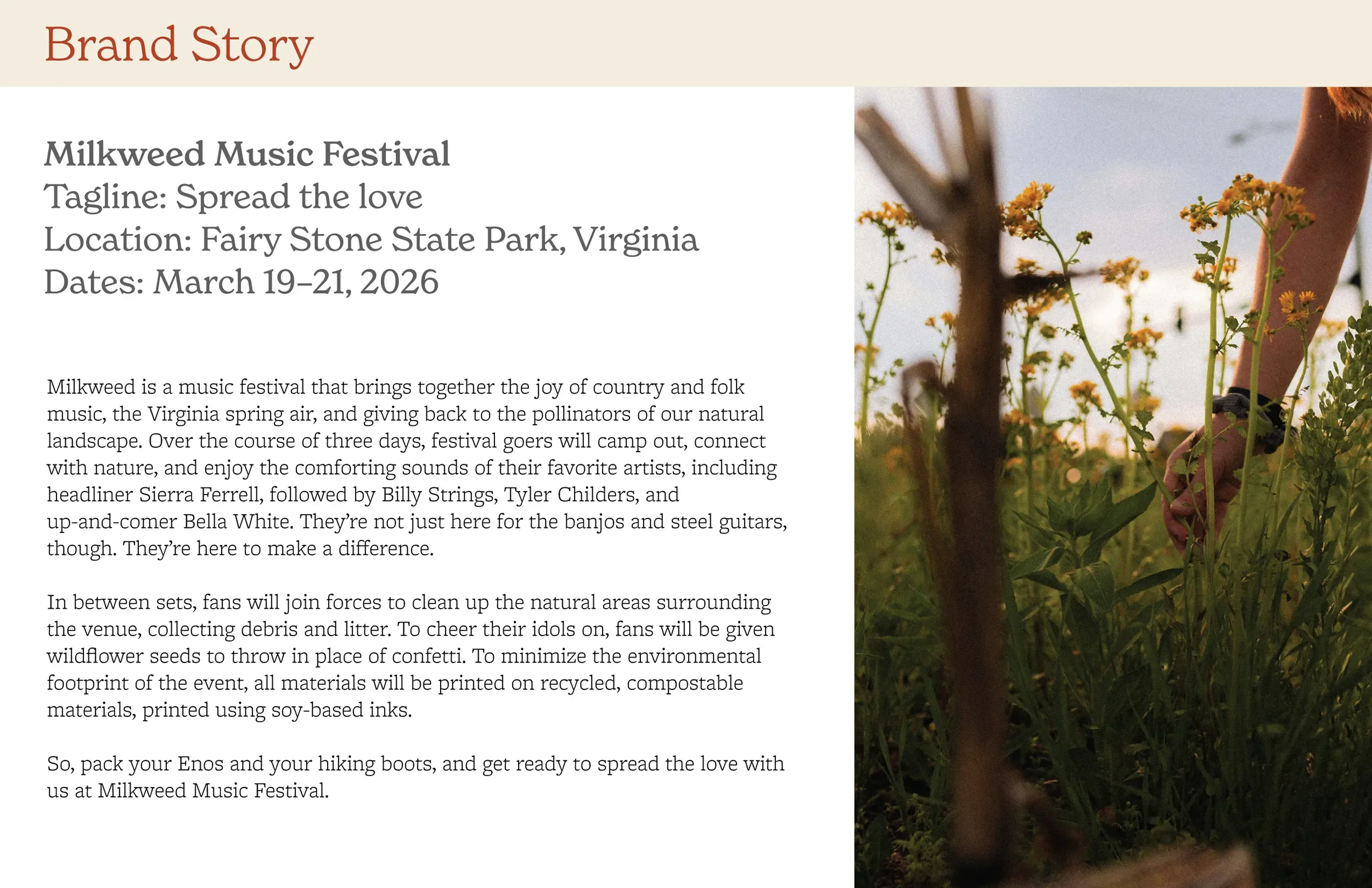 Gall_Milkweed_Final_Presentation_Brand Story.webp