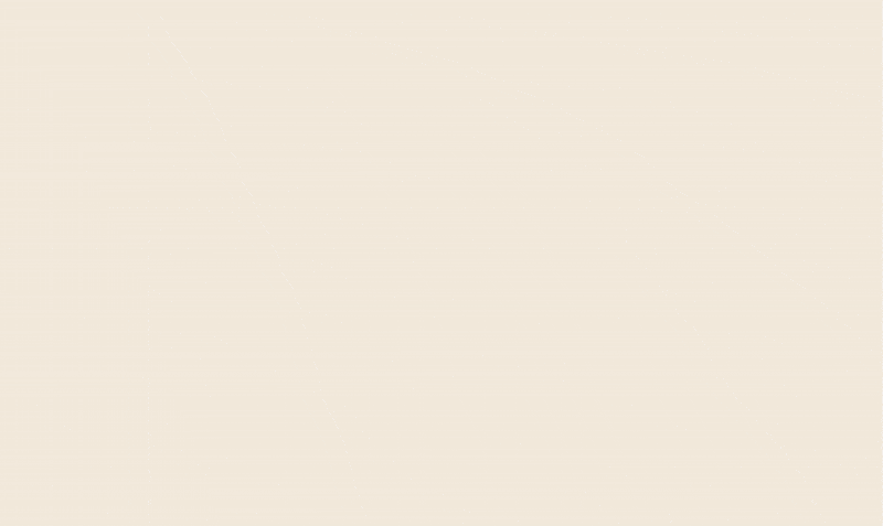 Milkweed Music Festival Branding