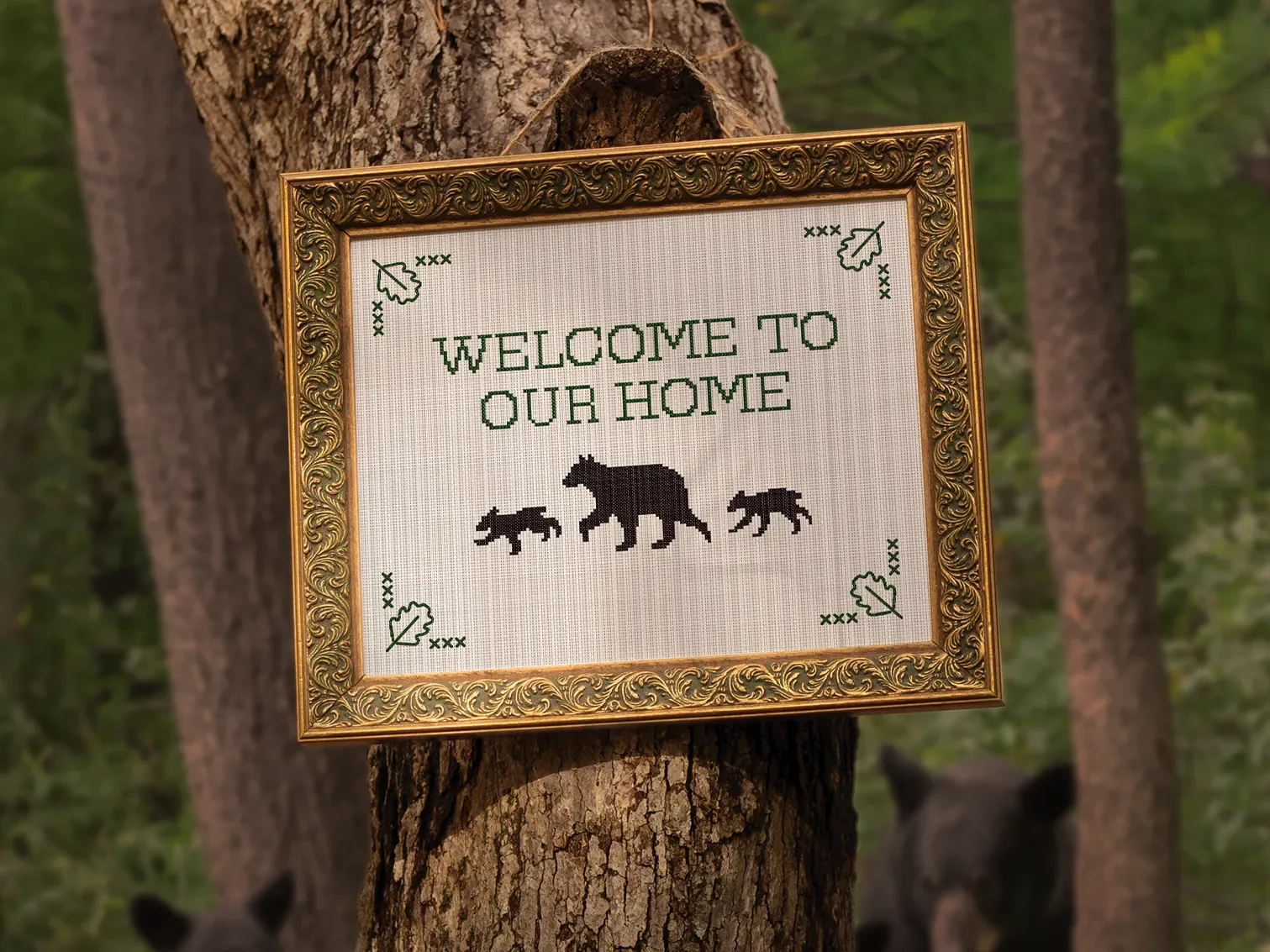 House Rules Campaign