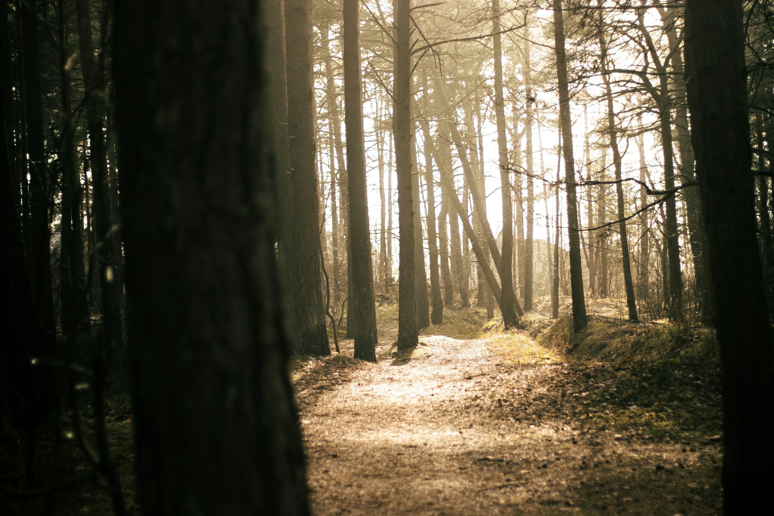 Opening the Door to Healing: How Ketamine-Assisted Psychotherapy Helps With PTSD and Trauma