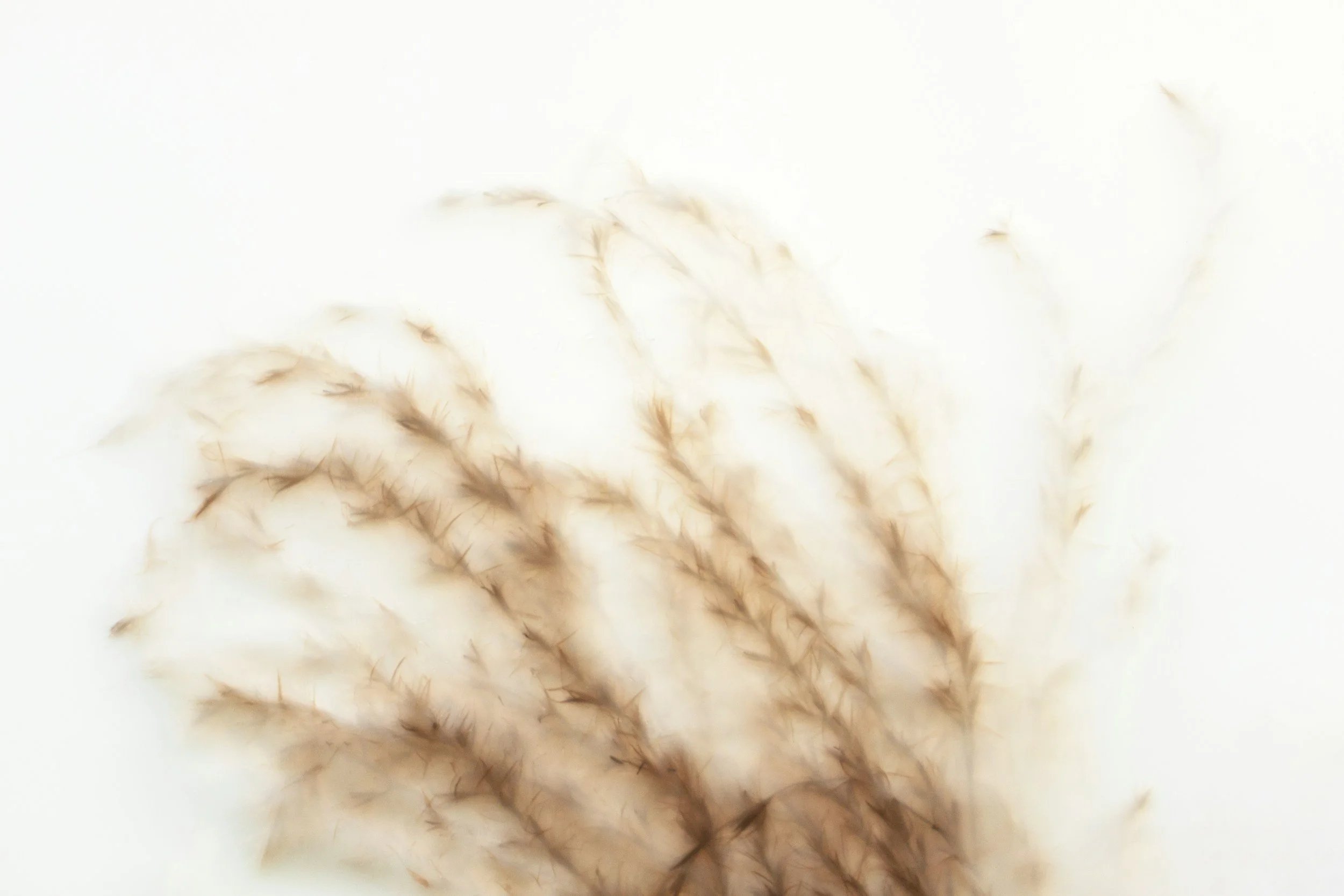 What Happens in the Brain During Brainspotting?