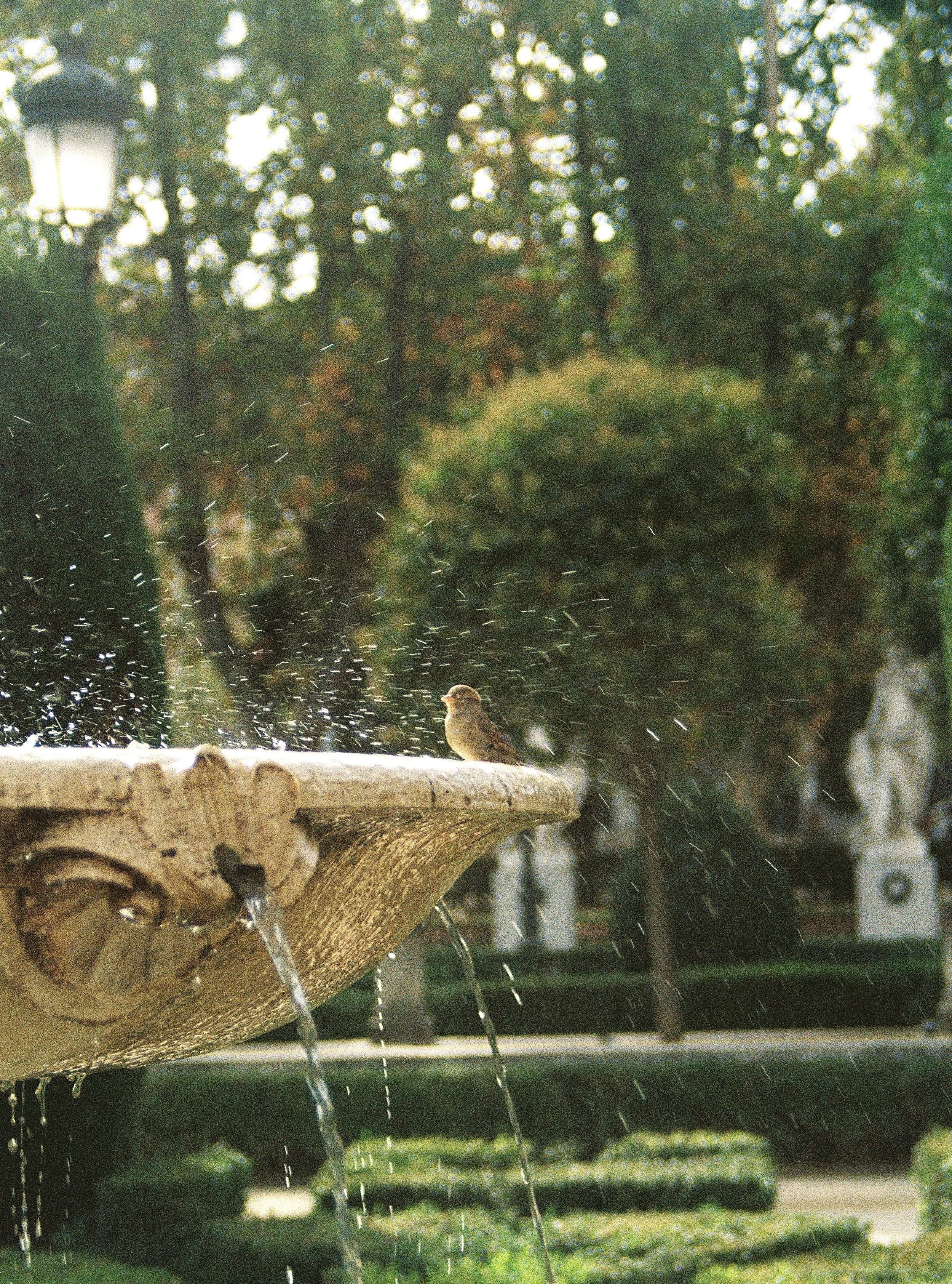 825837012851-R1-031-14.jpg