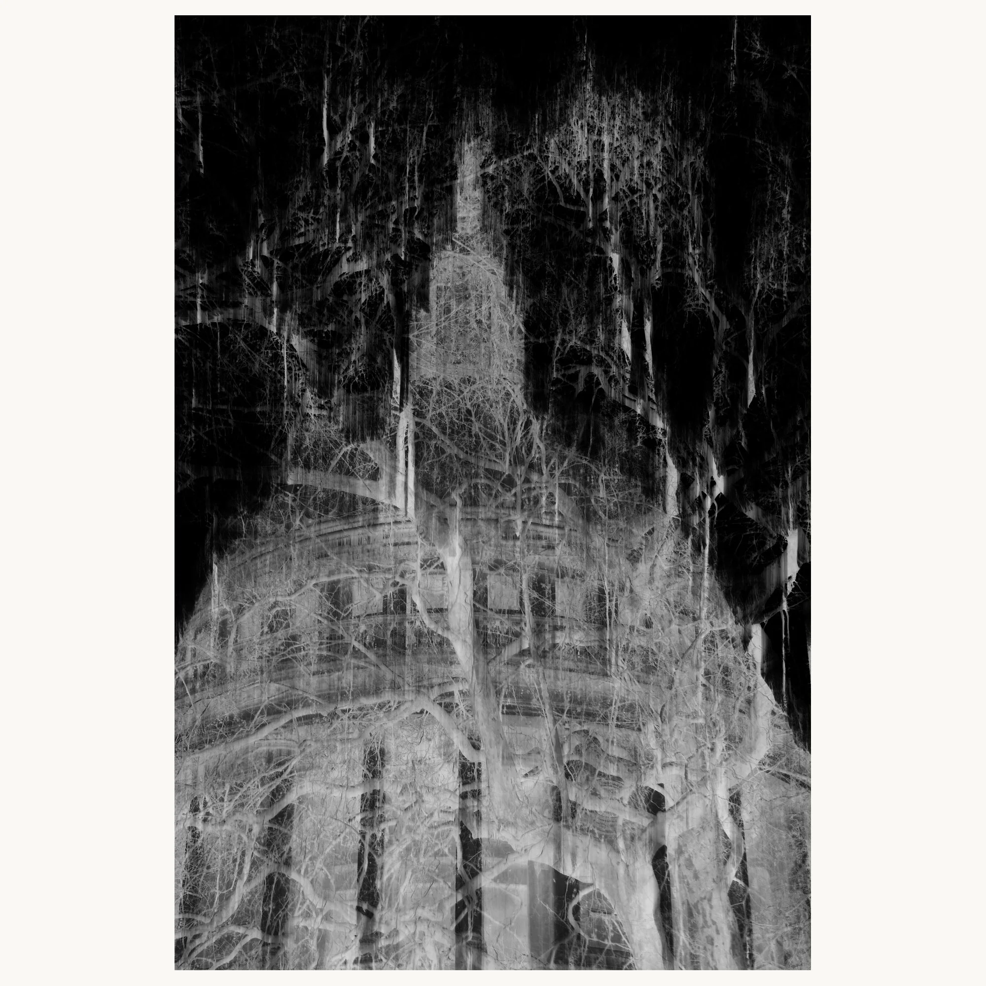 Inverted Canopy