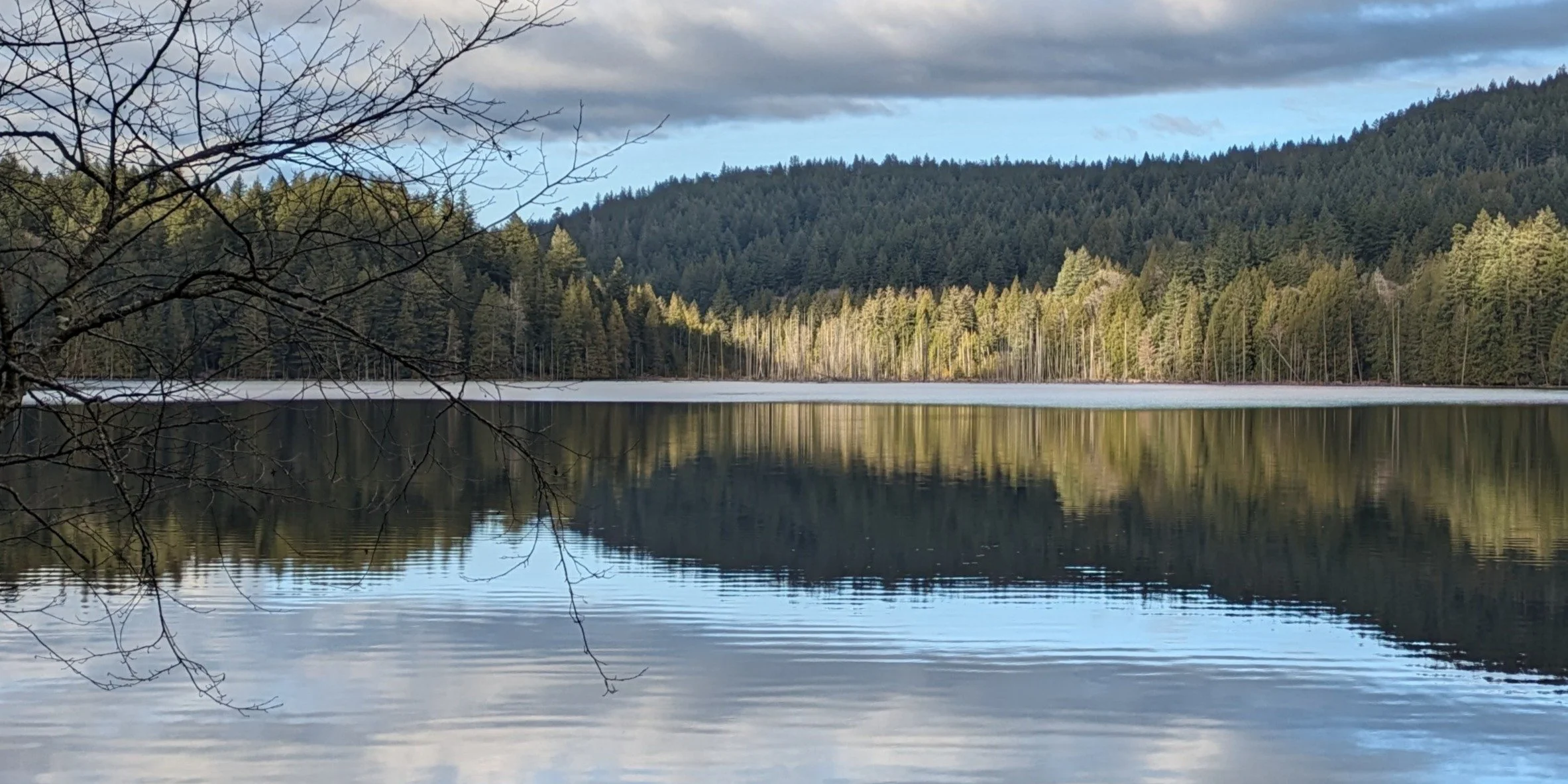 Lakeside Alders, Bowen Island