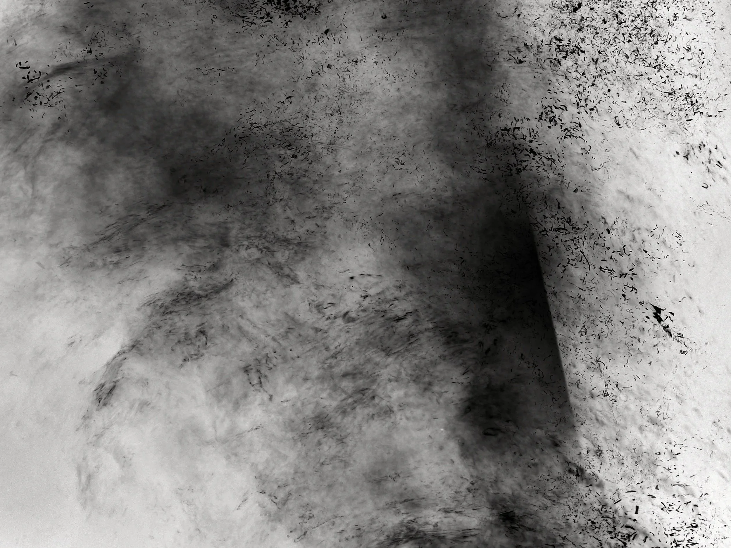 Detonate+-+JX4A3797.jpg