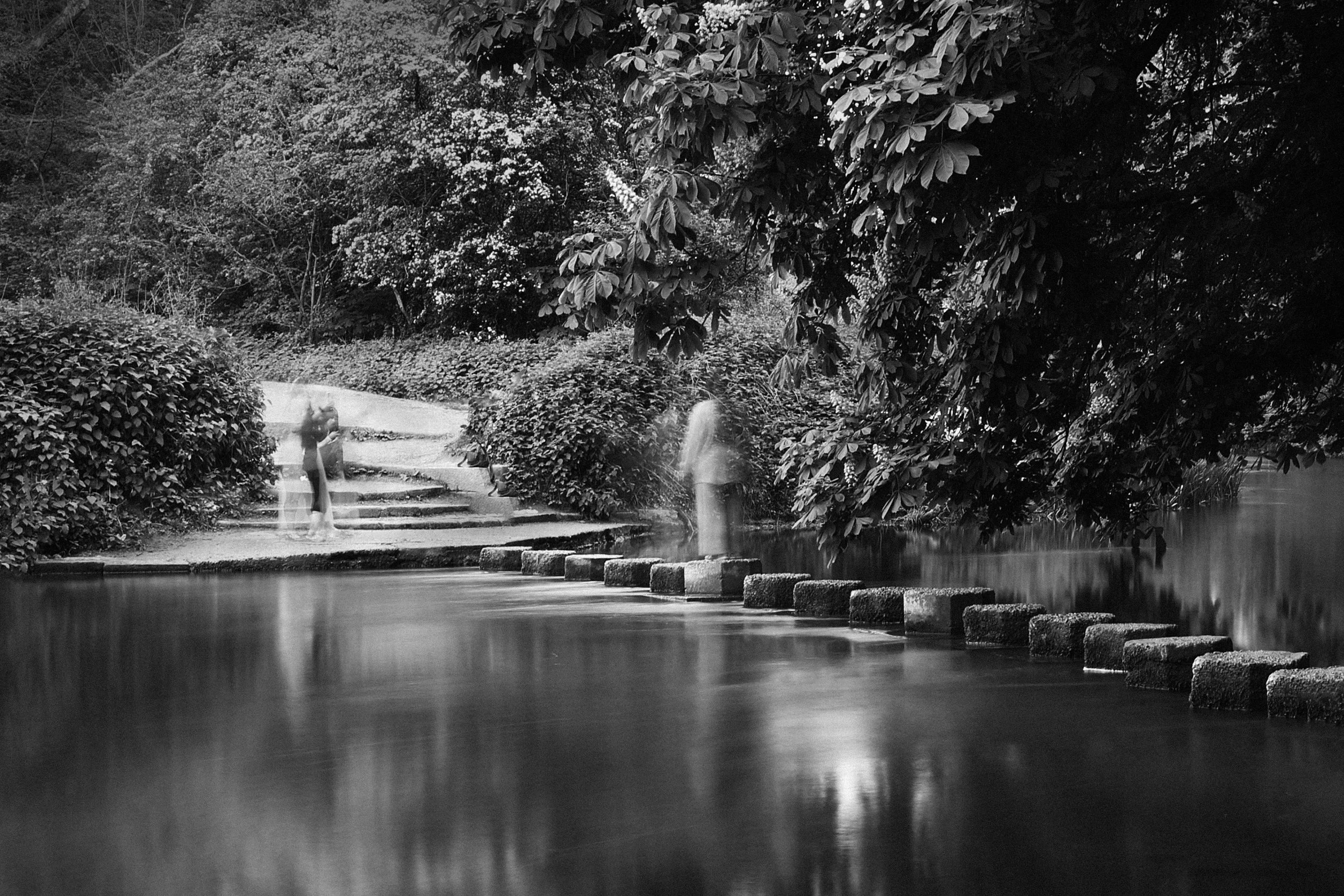 Over the River, Box Hill - JDSA5349.jpg