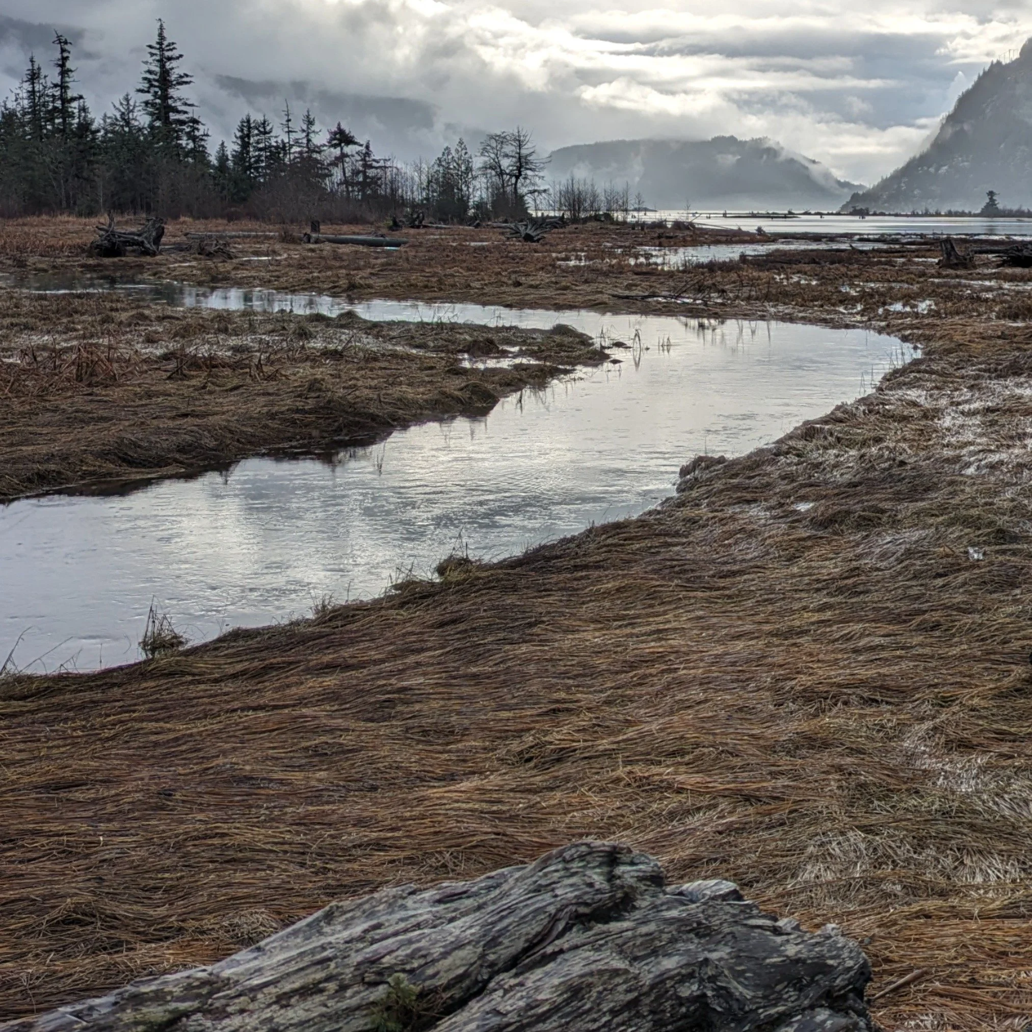 Rivergrass, Squamish