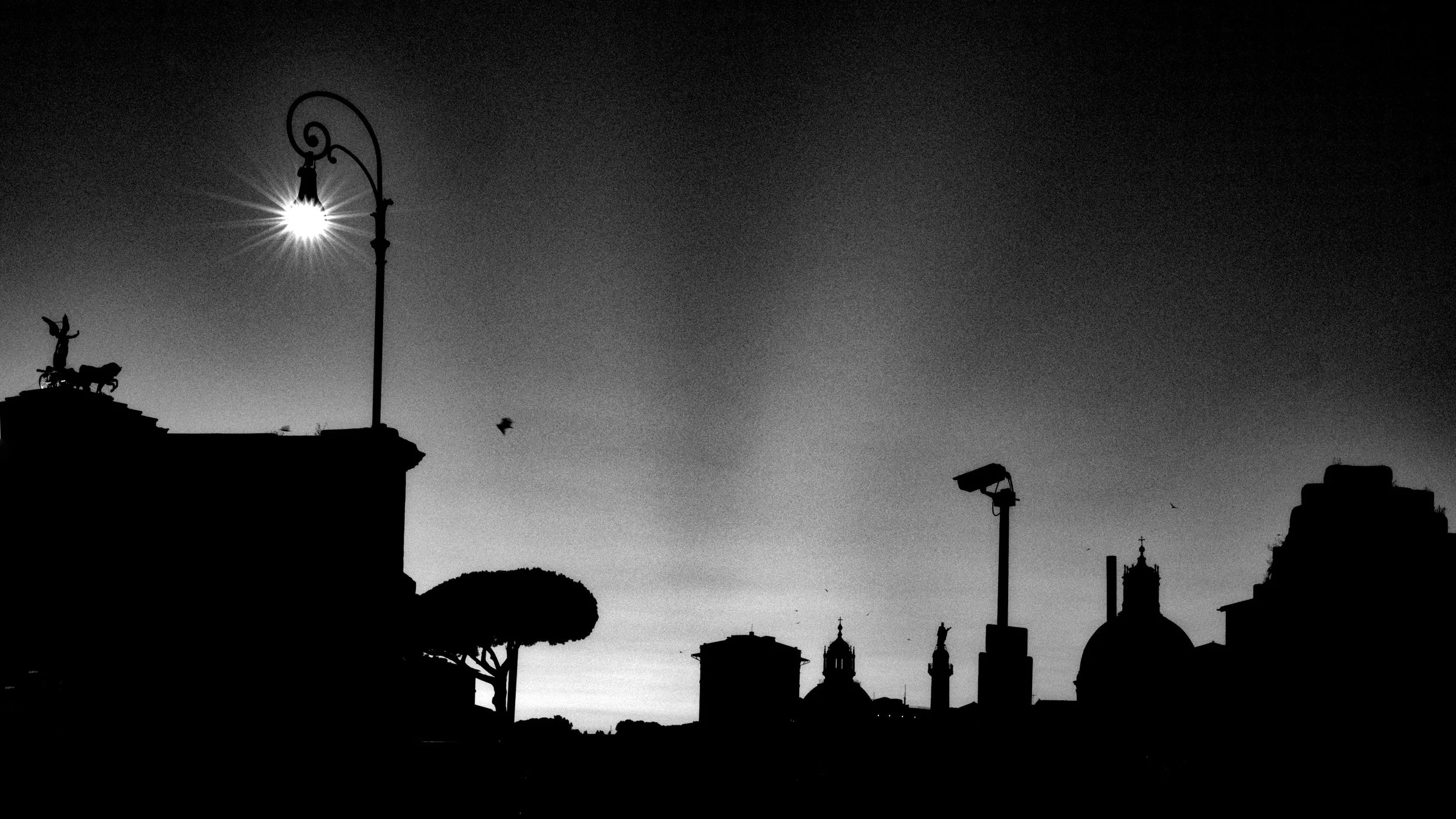 Night Sky, Rome - JDSB9491.jpg