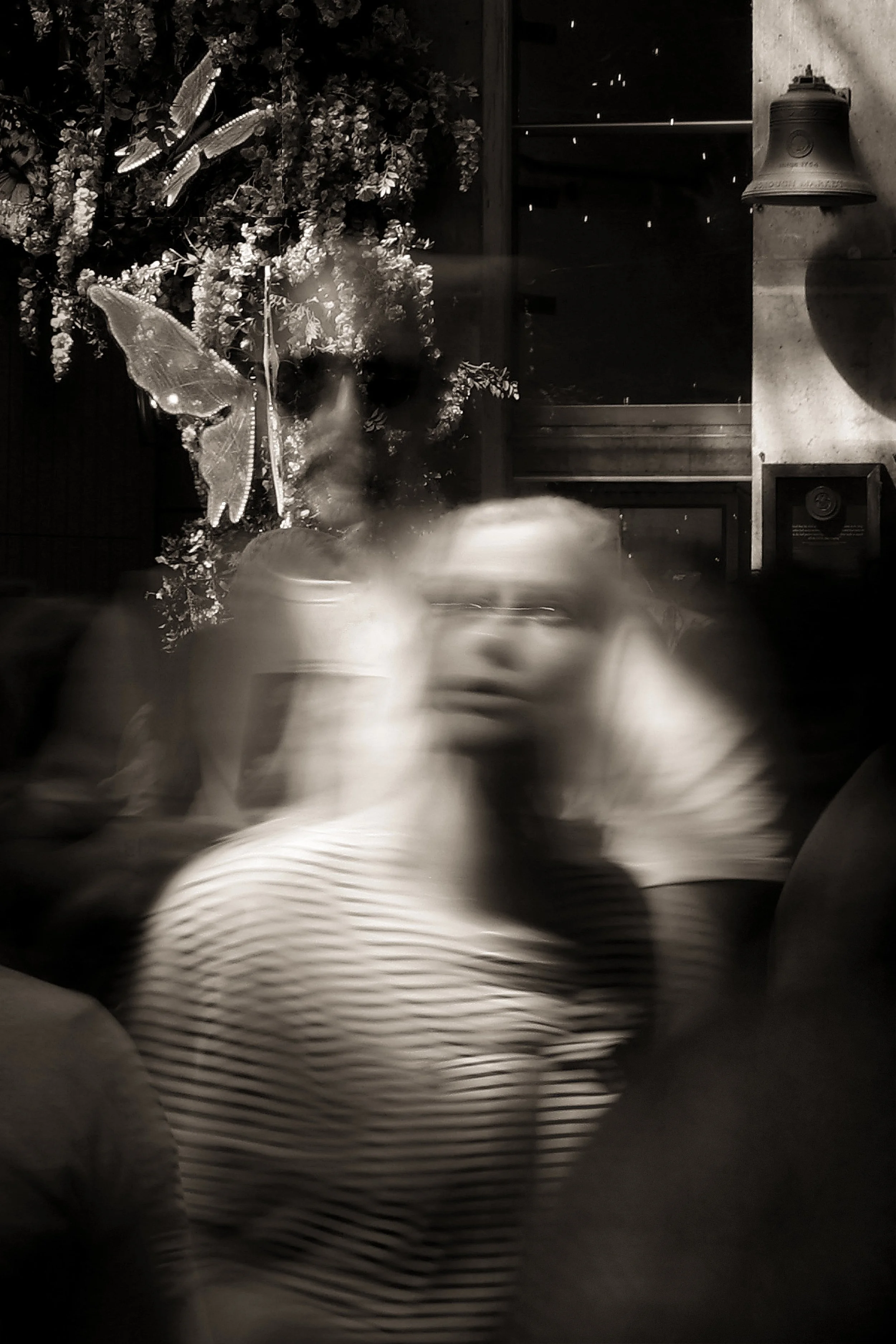 Butterfly, Borough - JX4A4322.jpg
