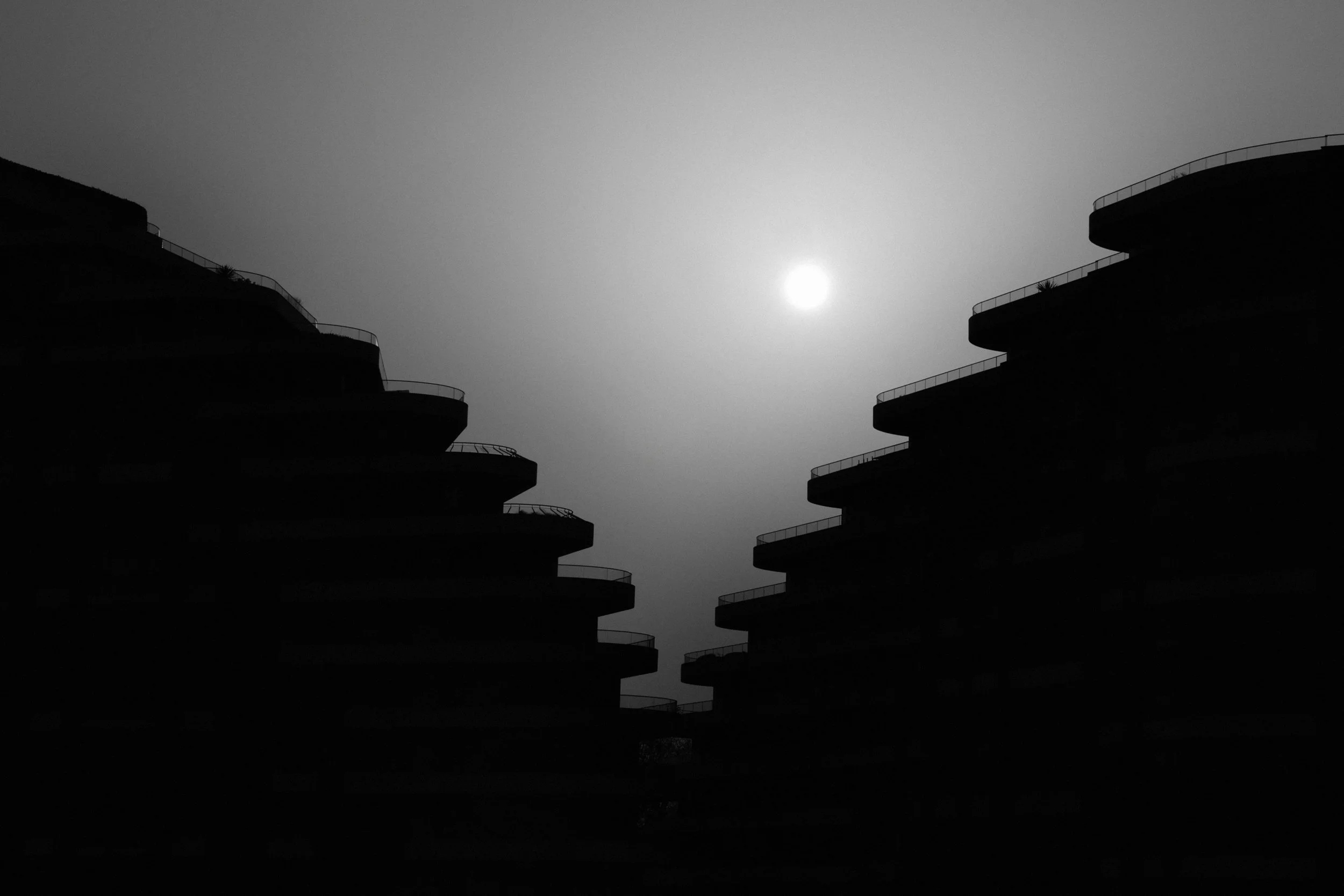 Daylight