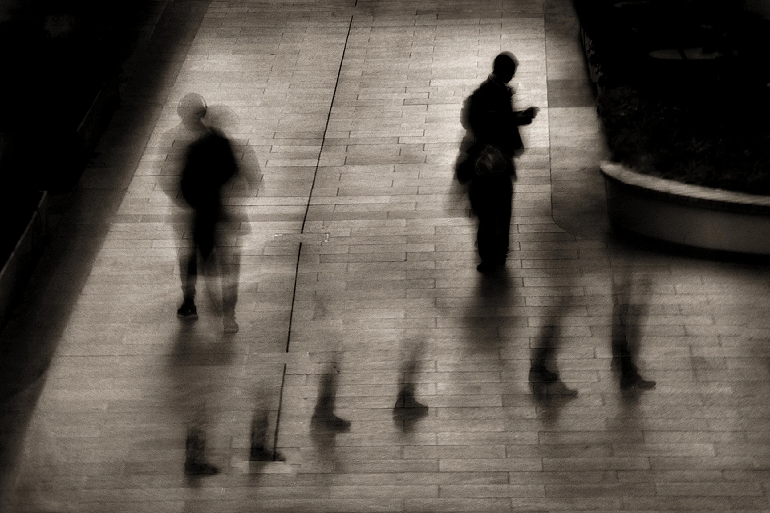 Footsteps, Victoria - JDSA6123.jpg
