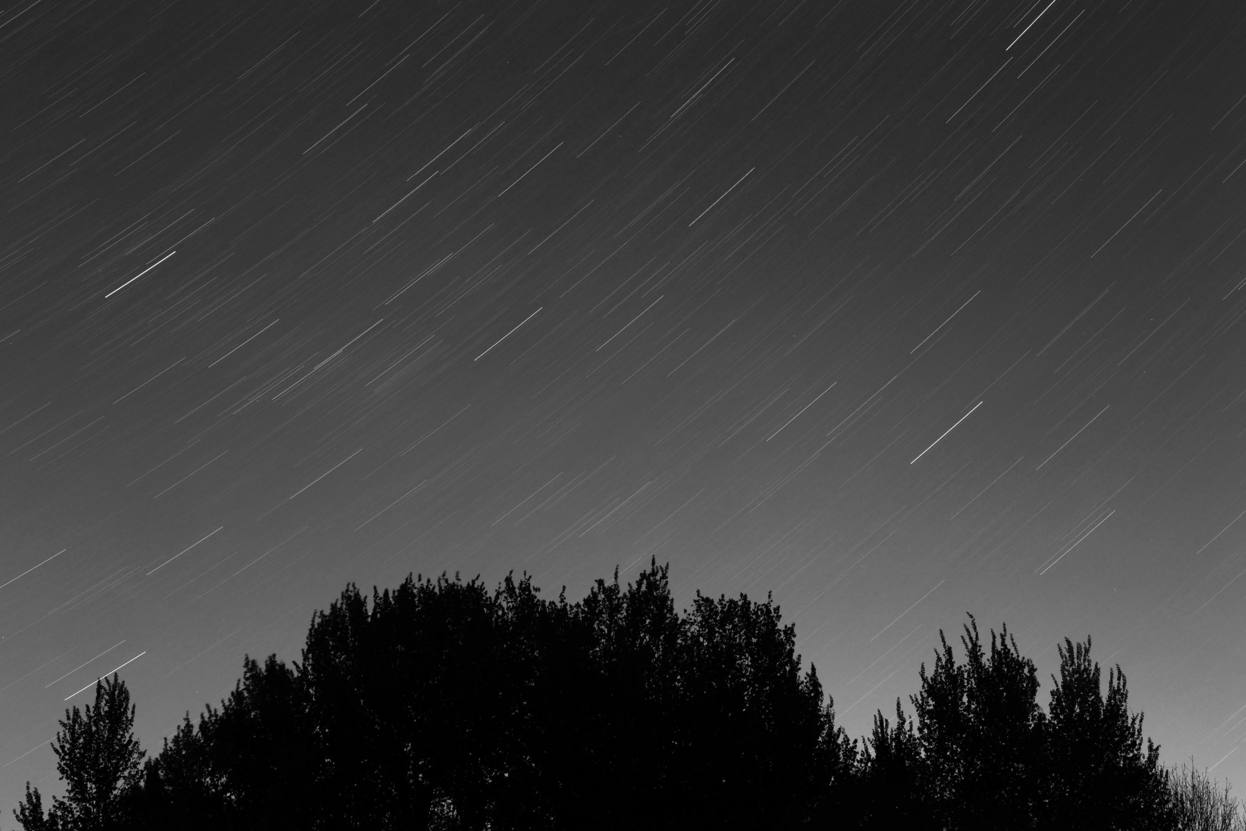Star Trails