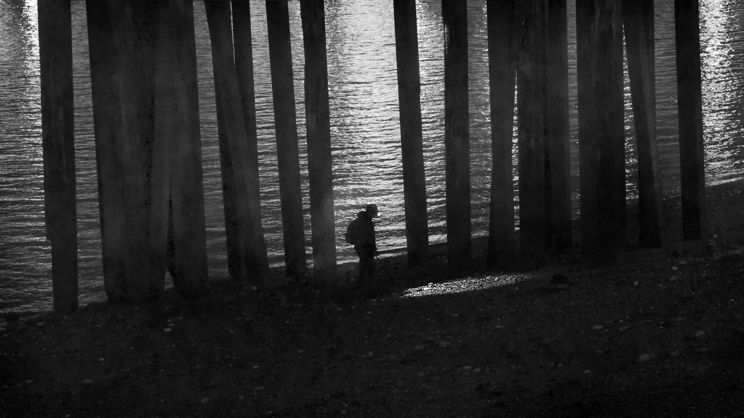 Beachcomber, Waterloo - JX4A9869.jpg