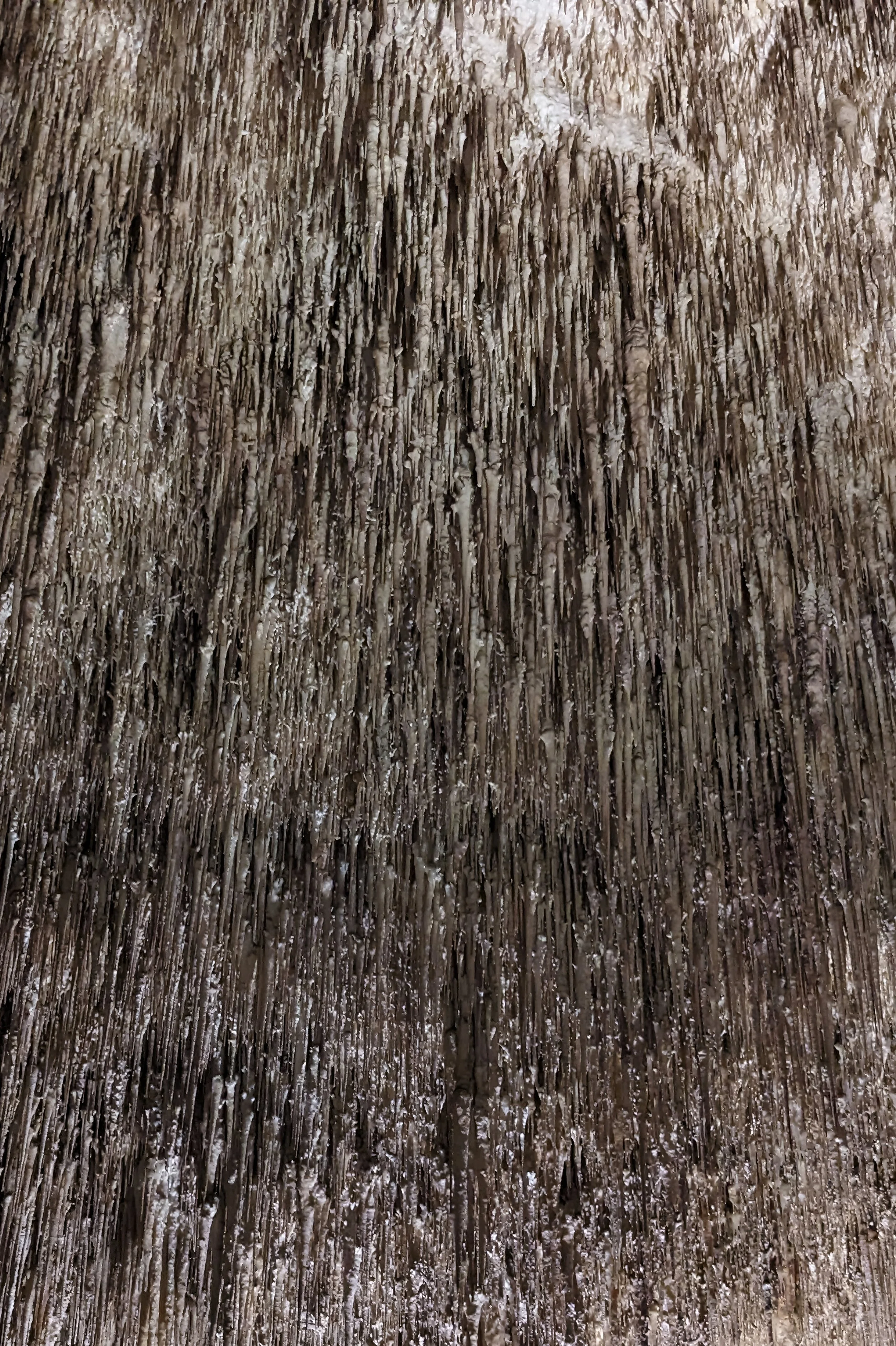 Stalactite Wall, Porto Cristo