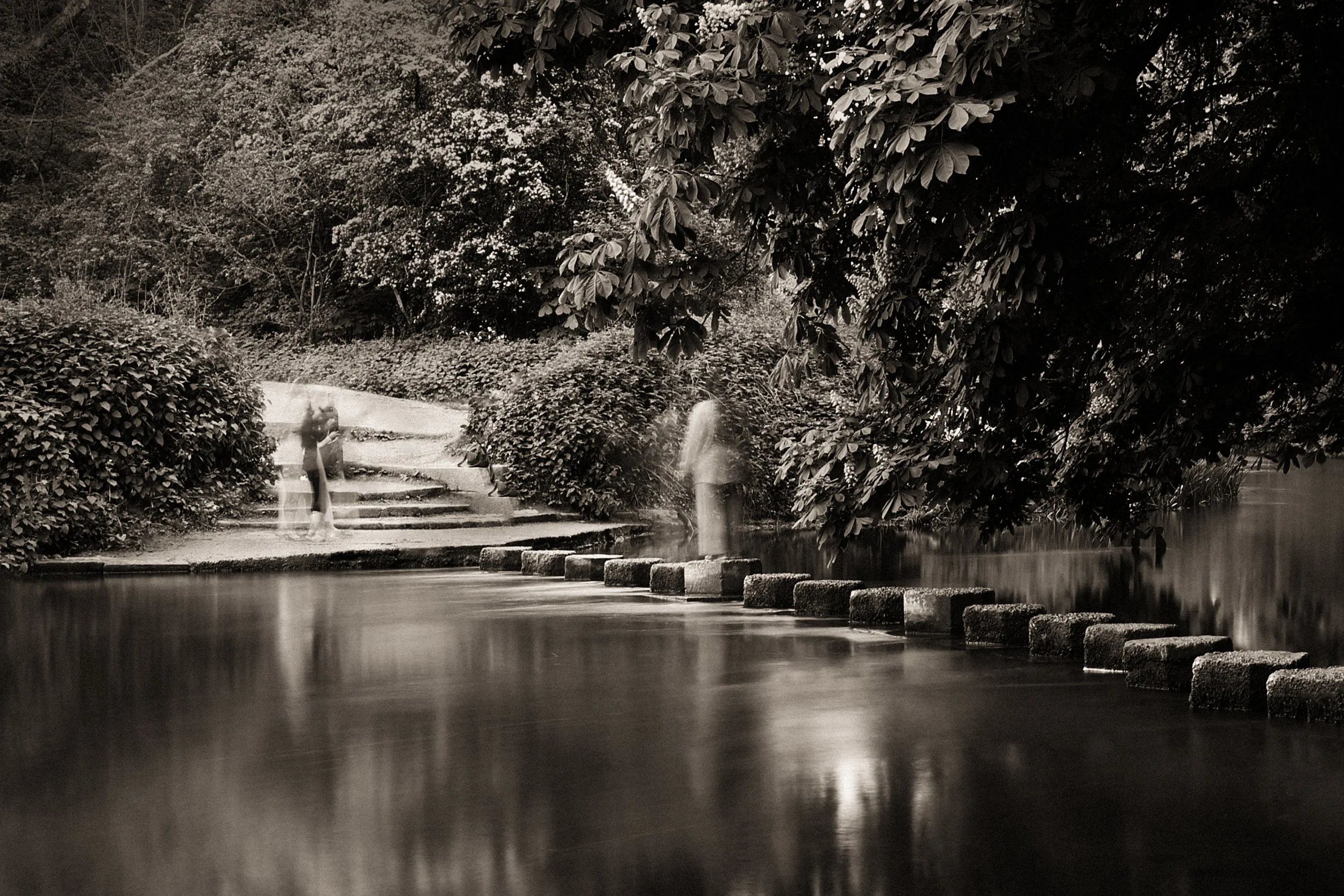 Over the River, Box Hill - JDSA5349.jpg
