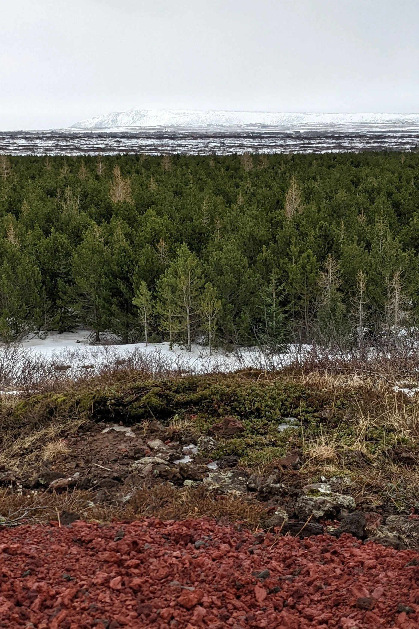 Strata, Klausturholar