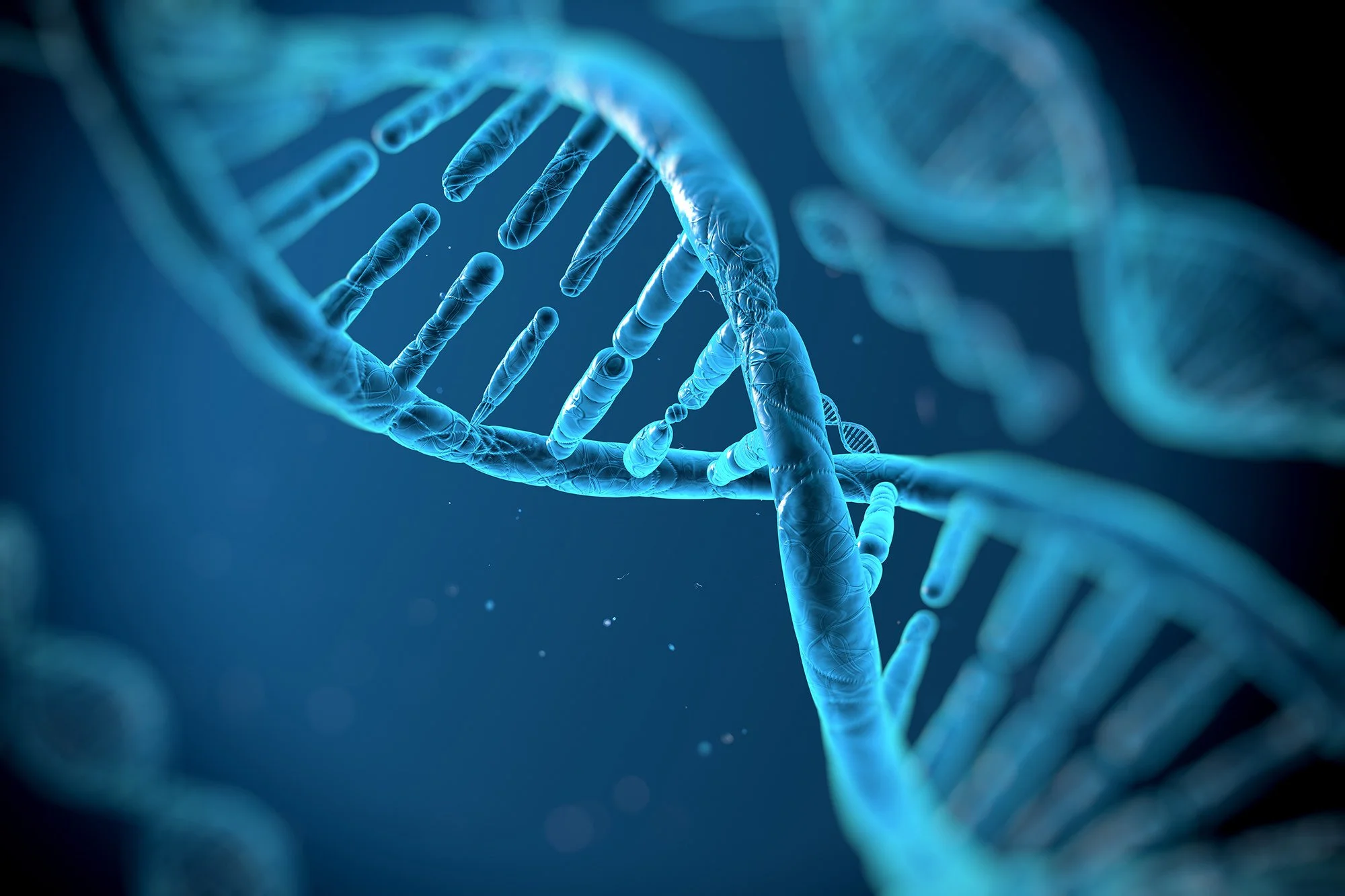 DNA, Epigenetics &amp; Autoimmunity