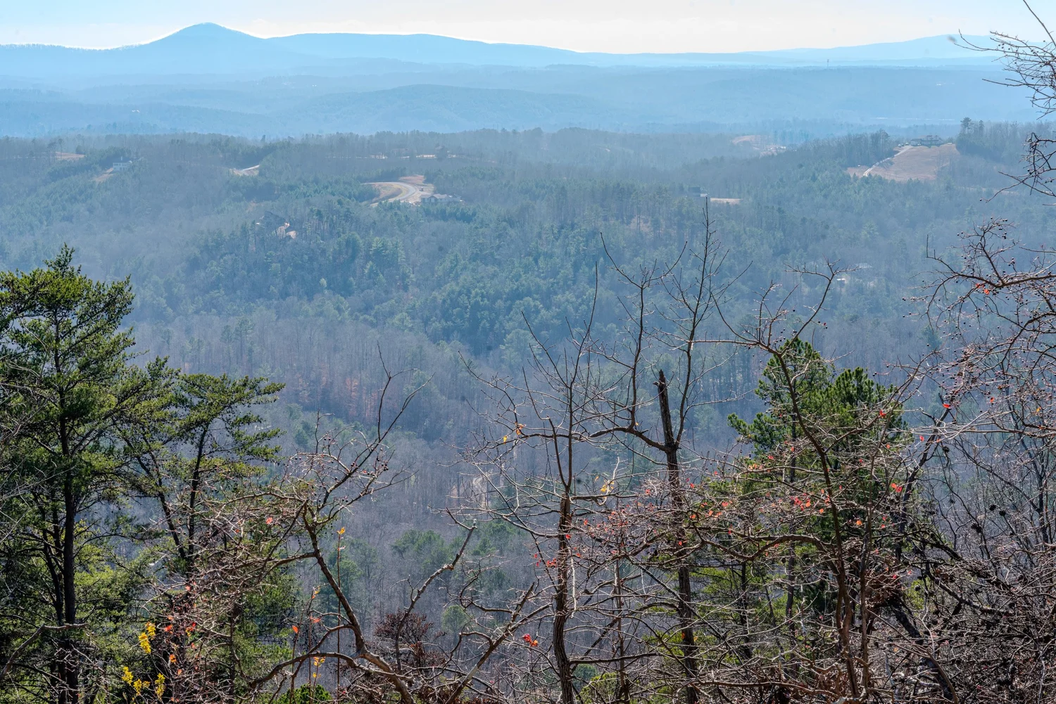 Selah Ridge Tree Sort Your Reteat | Experience Rest Today β Selah Ridge Retreat